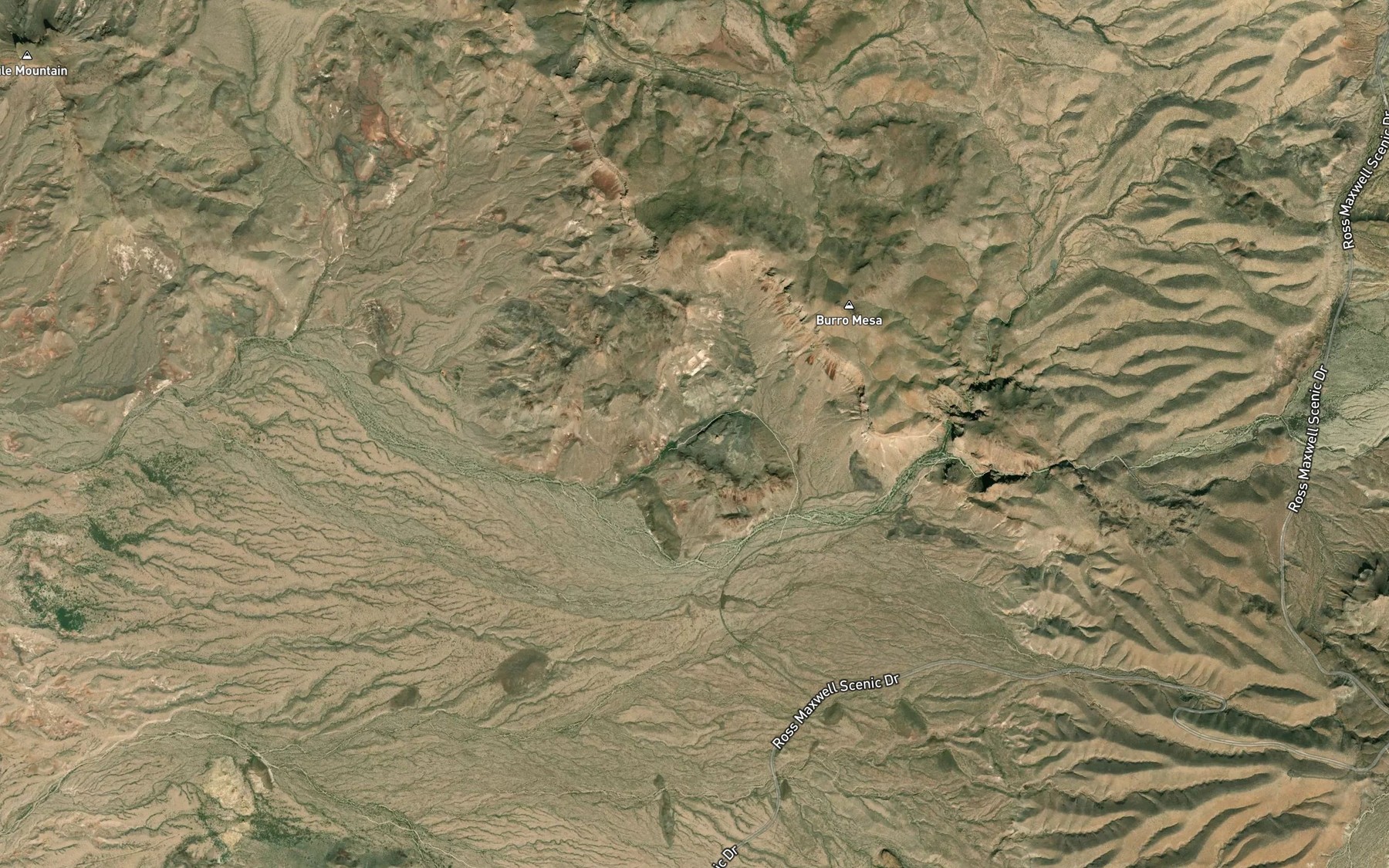 Satellite map of the Burro Spring