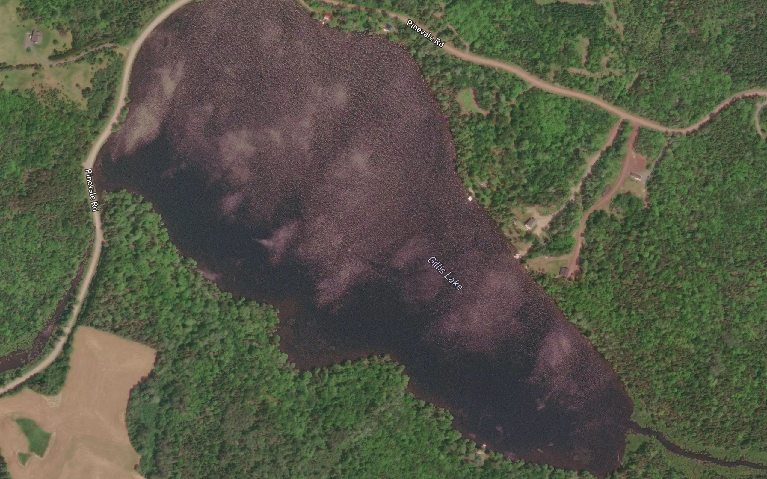 Gillis Lake