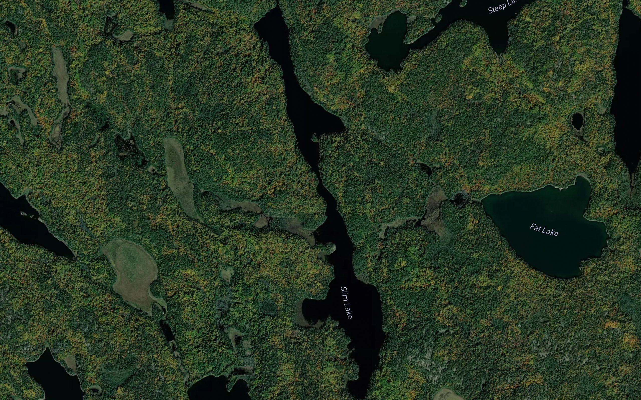 Slim Lake