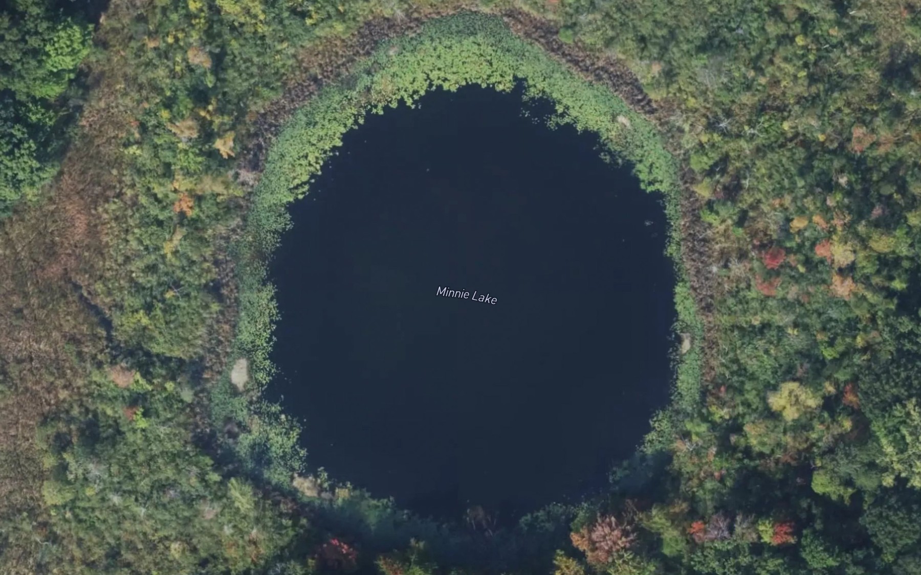 Satellite map of the Minnie Lake