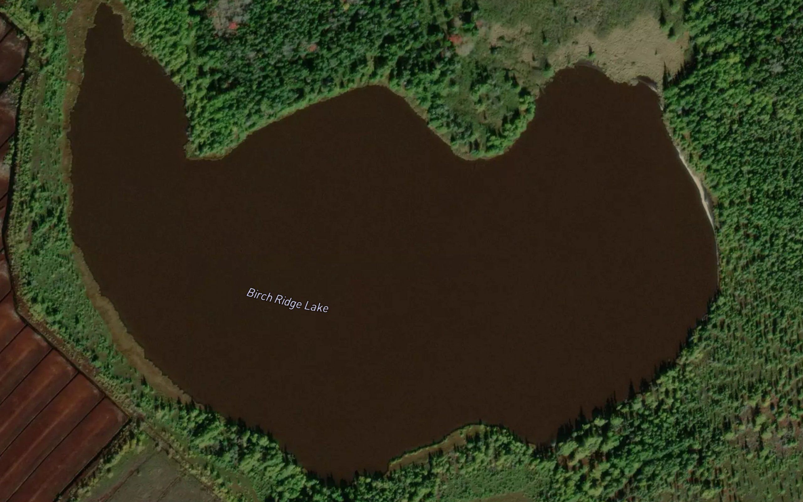 Birch Ridge Lake