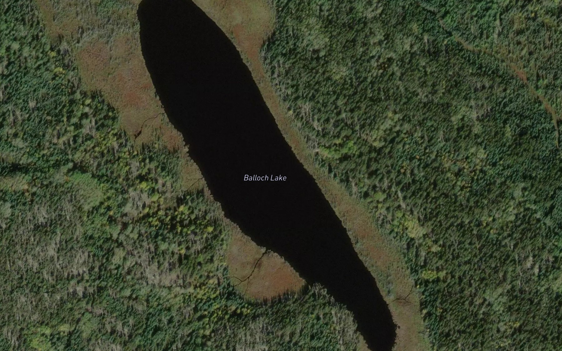 Satellite map of the Balloch Lake