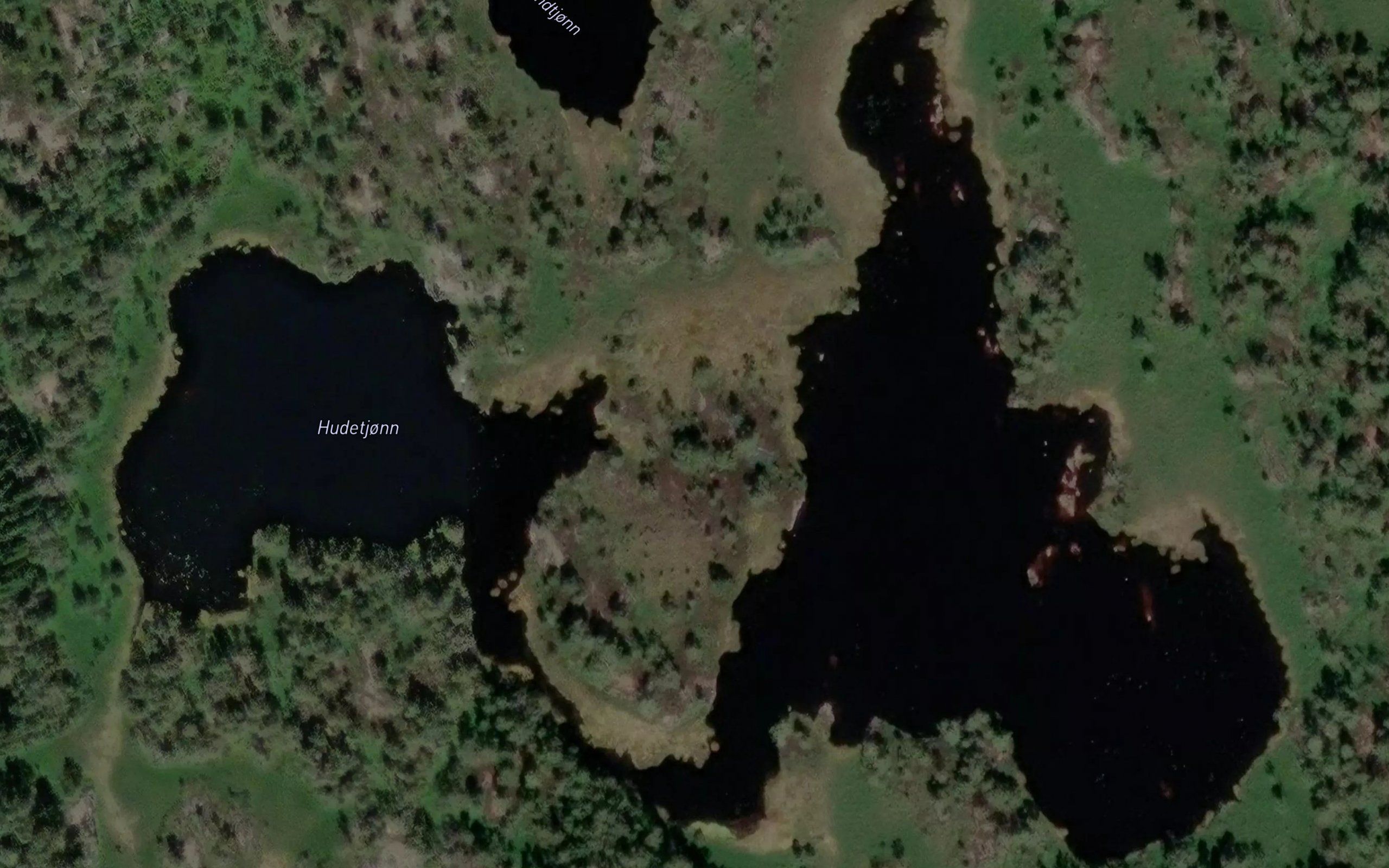 Hudetjorn
