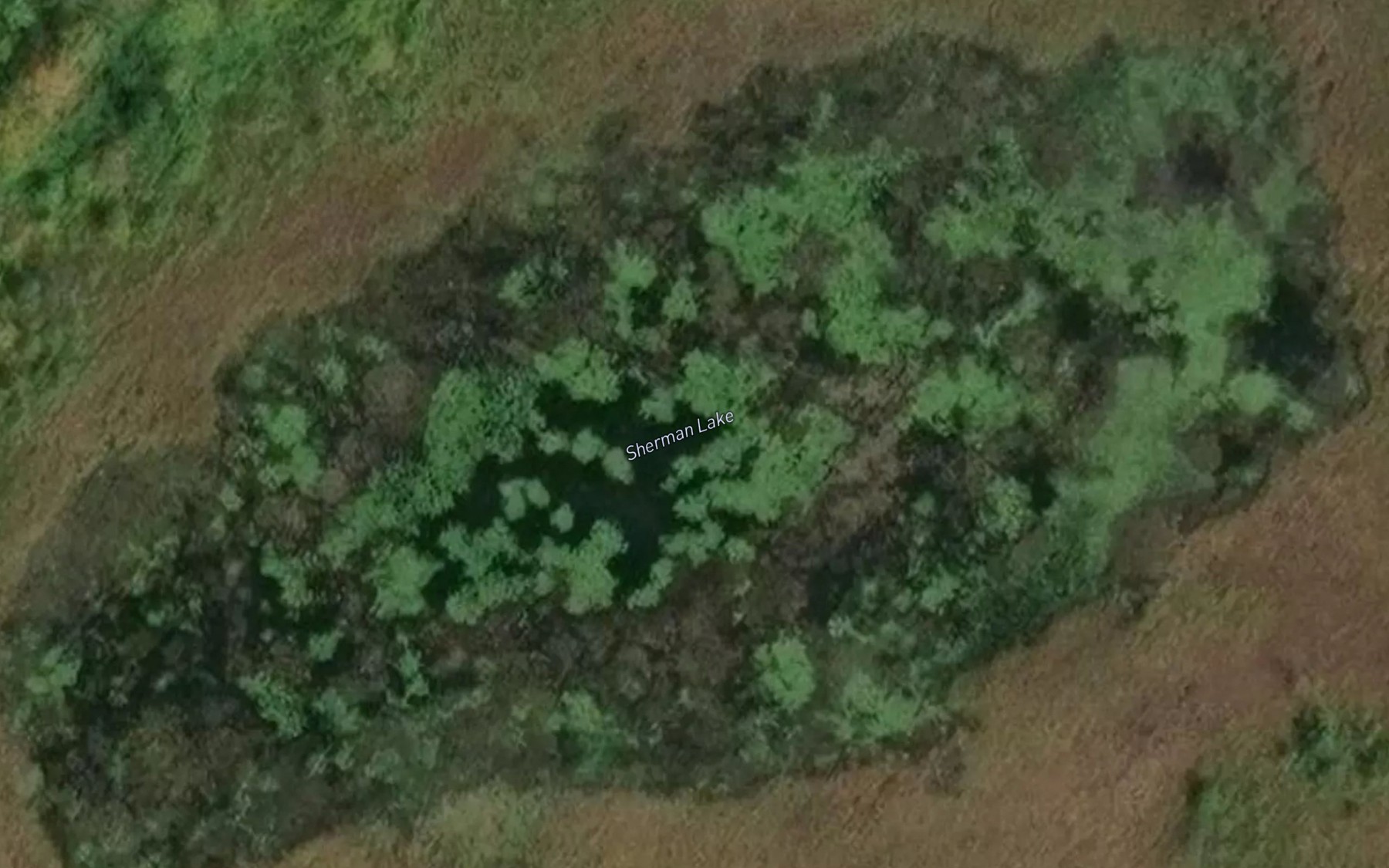 Satellite map of the Sherman Lake