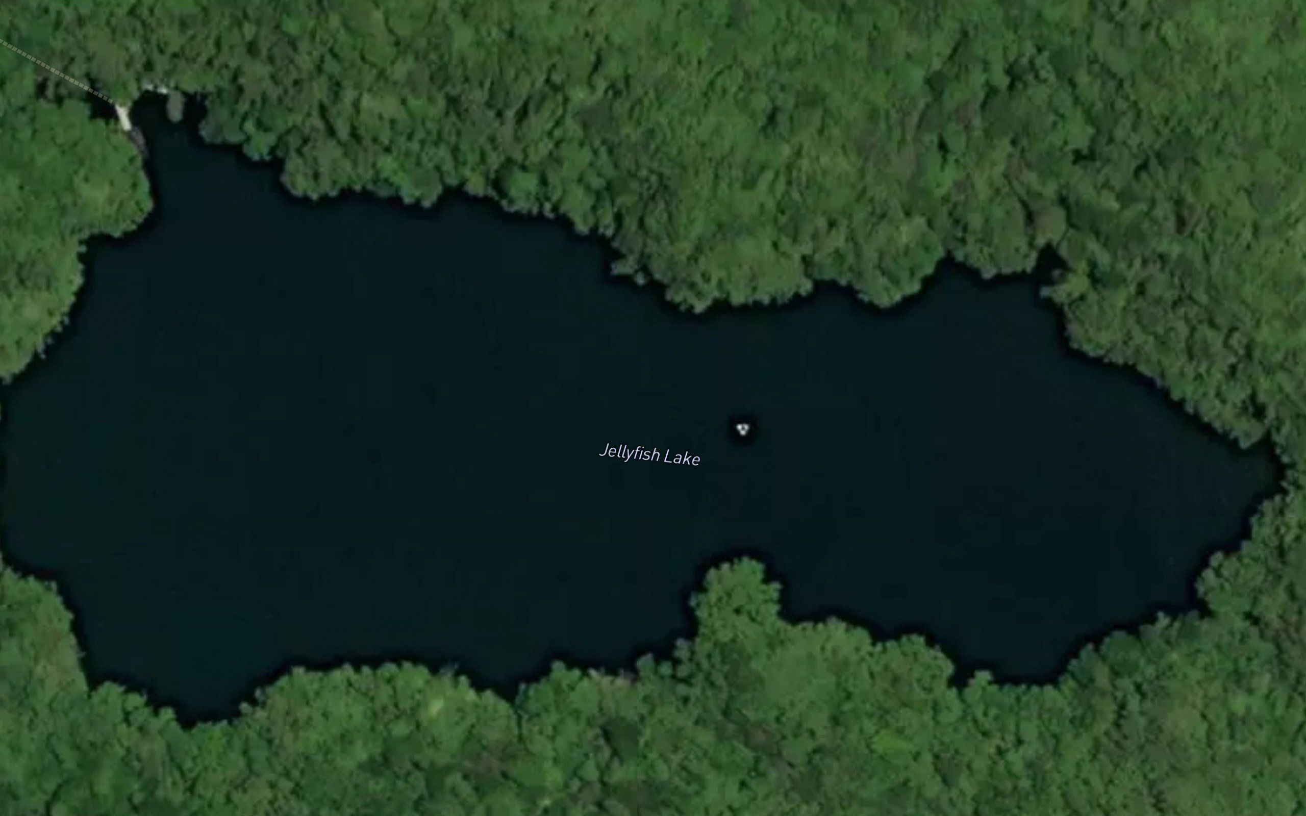 Jellyfish Lake