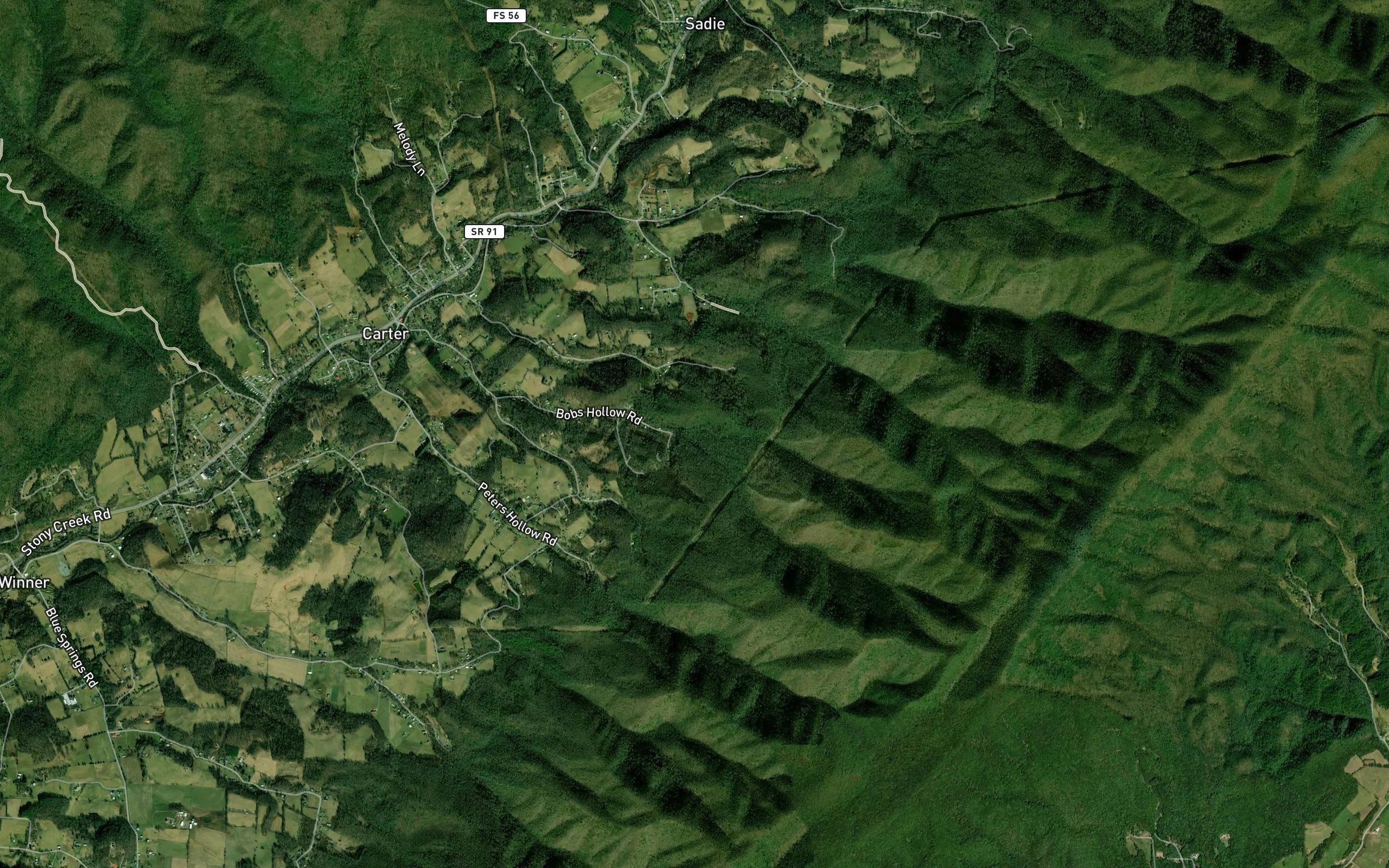 Little Horselog Branch