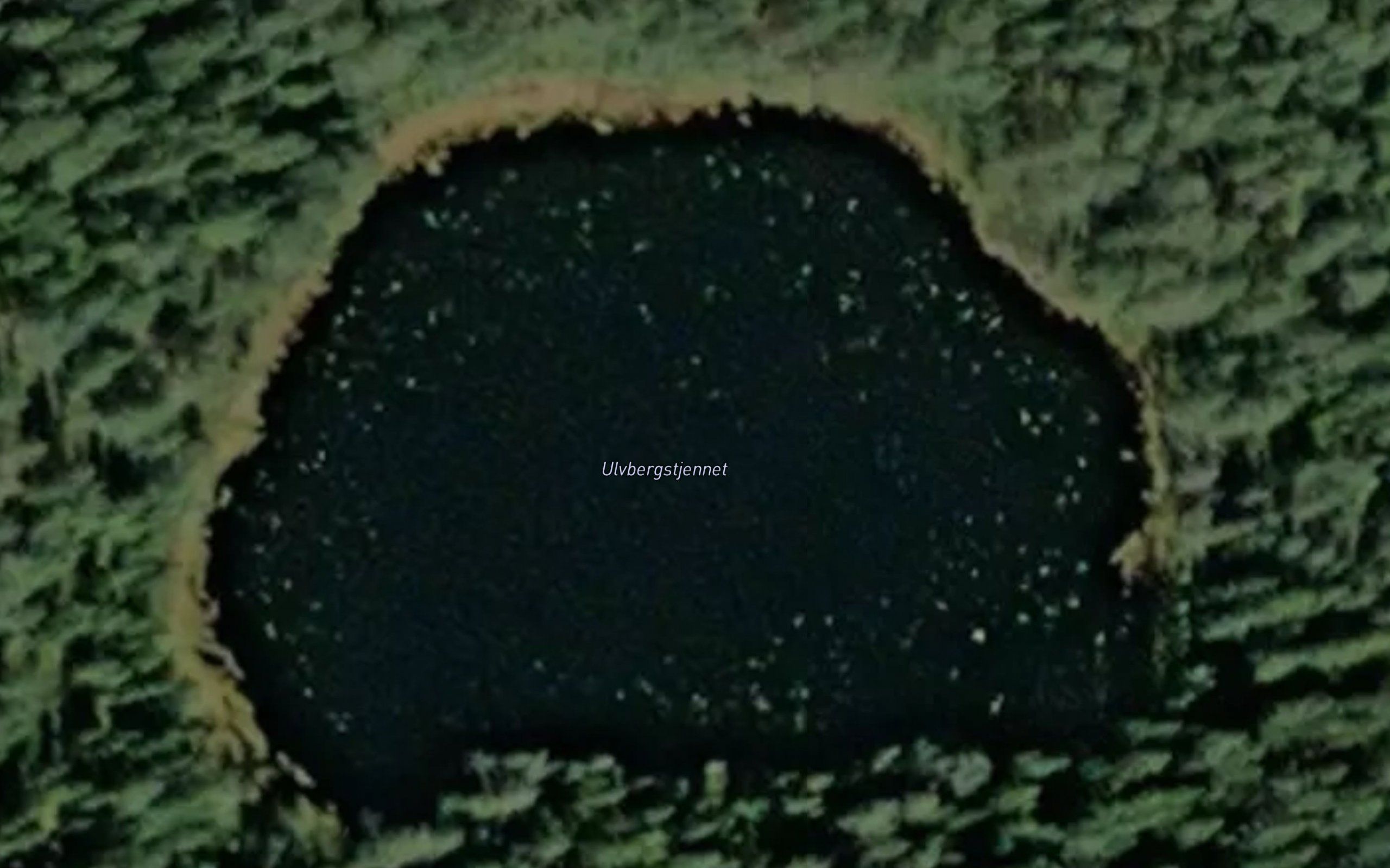 Ulvbergstjernet