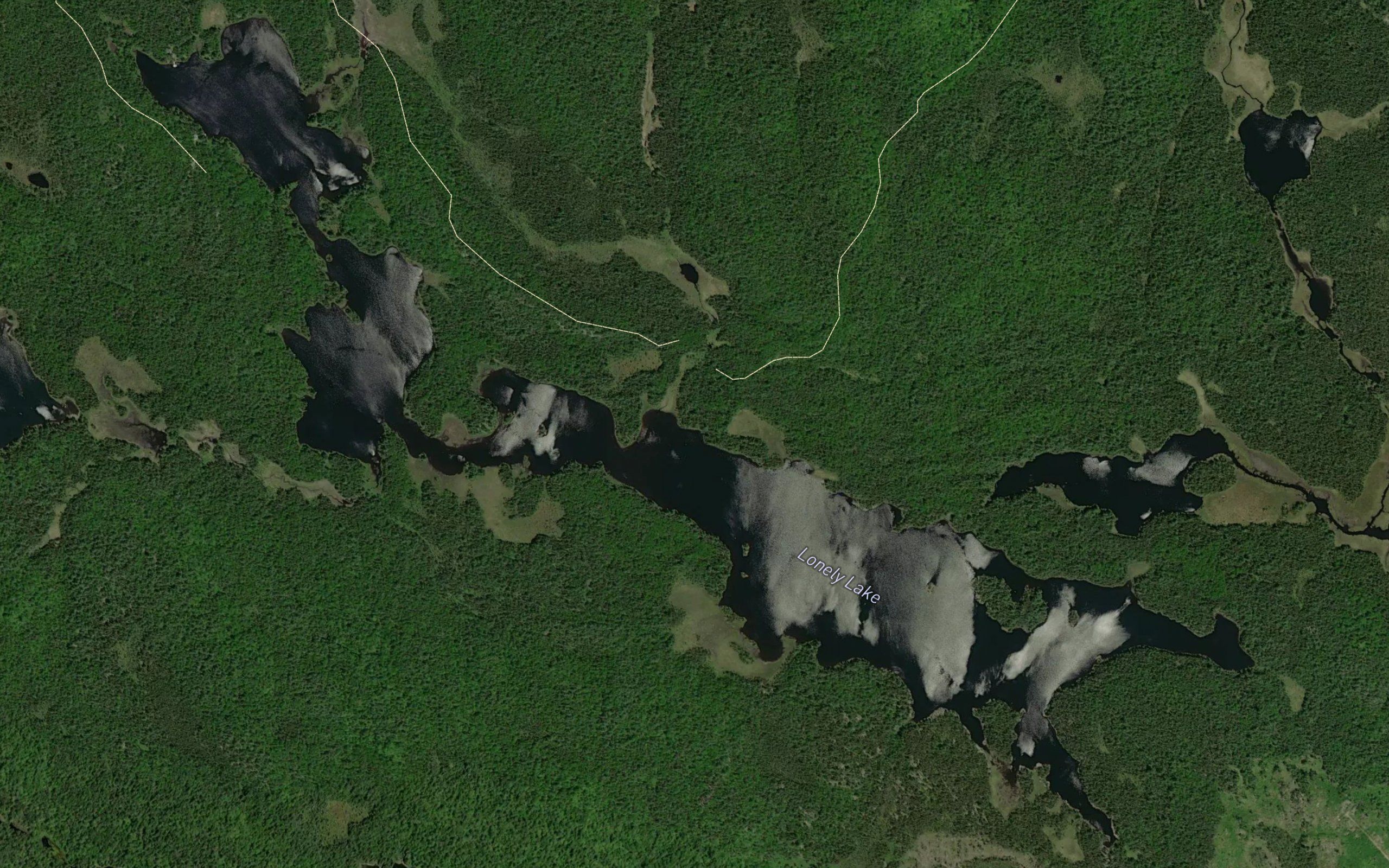 Lonely Lake