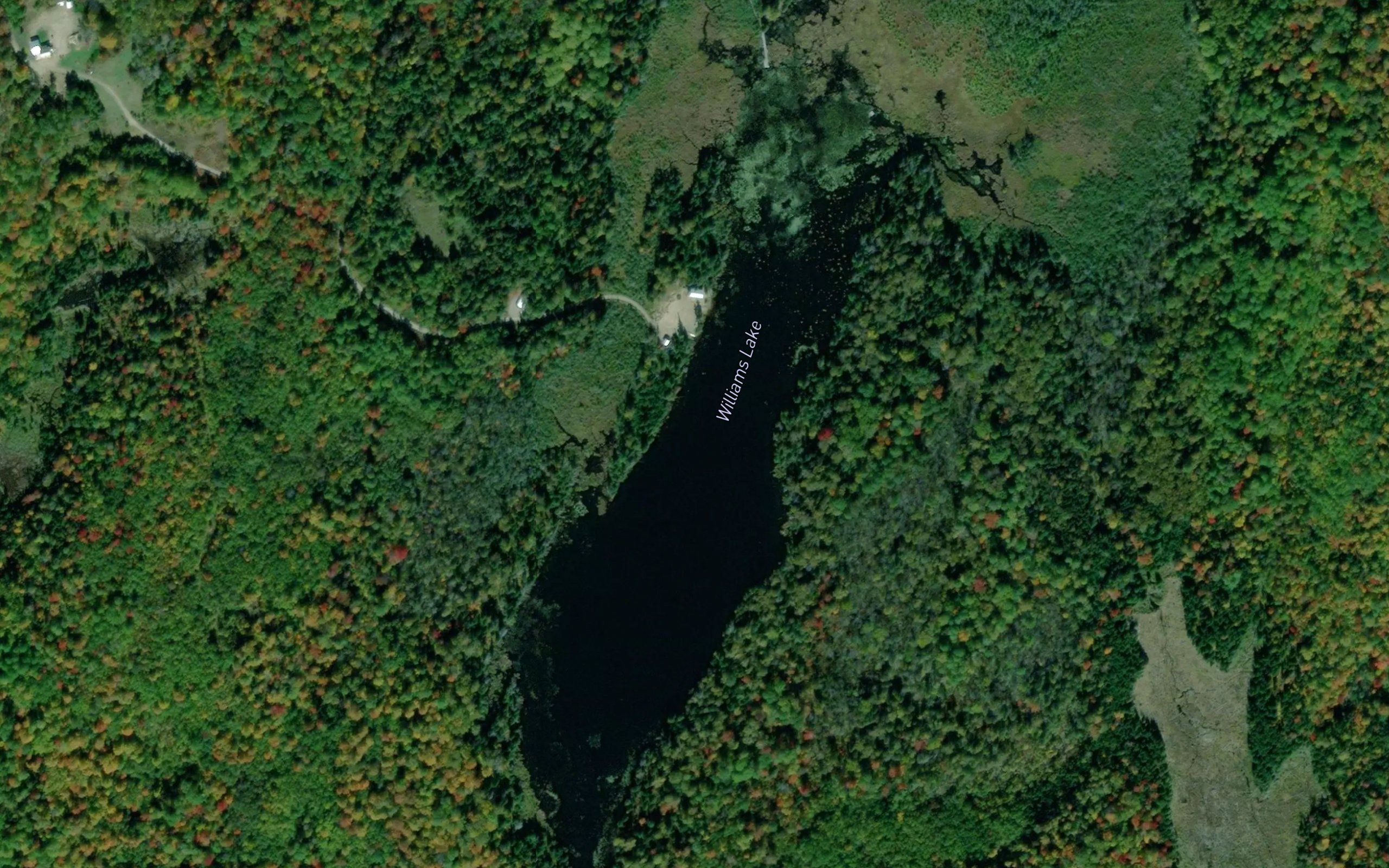Williams Lake