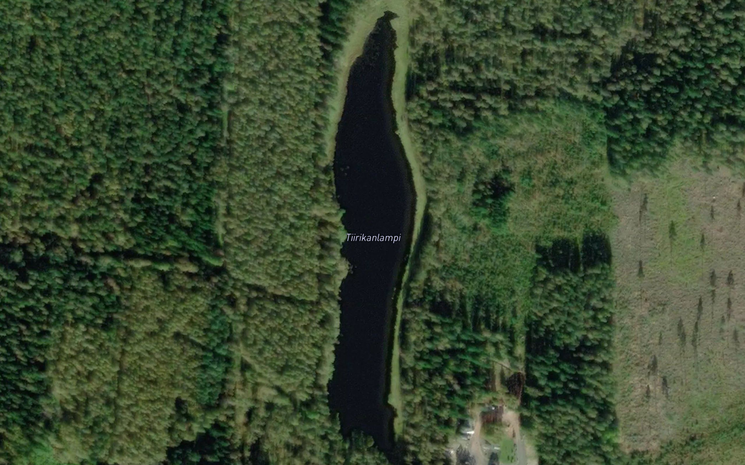 Tiirikanlampi