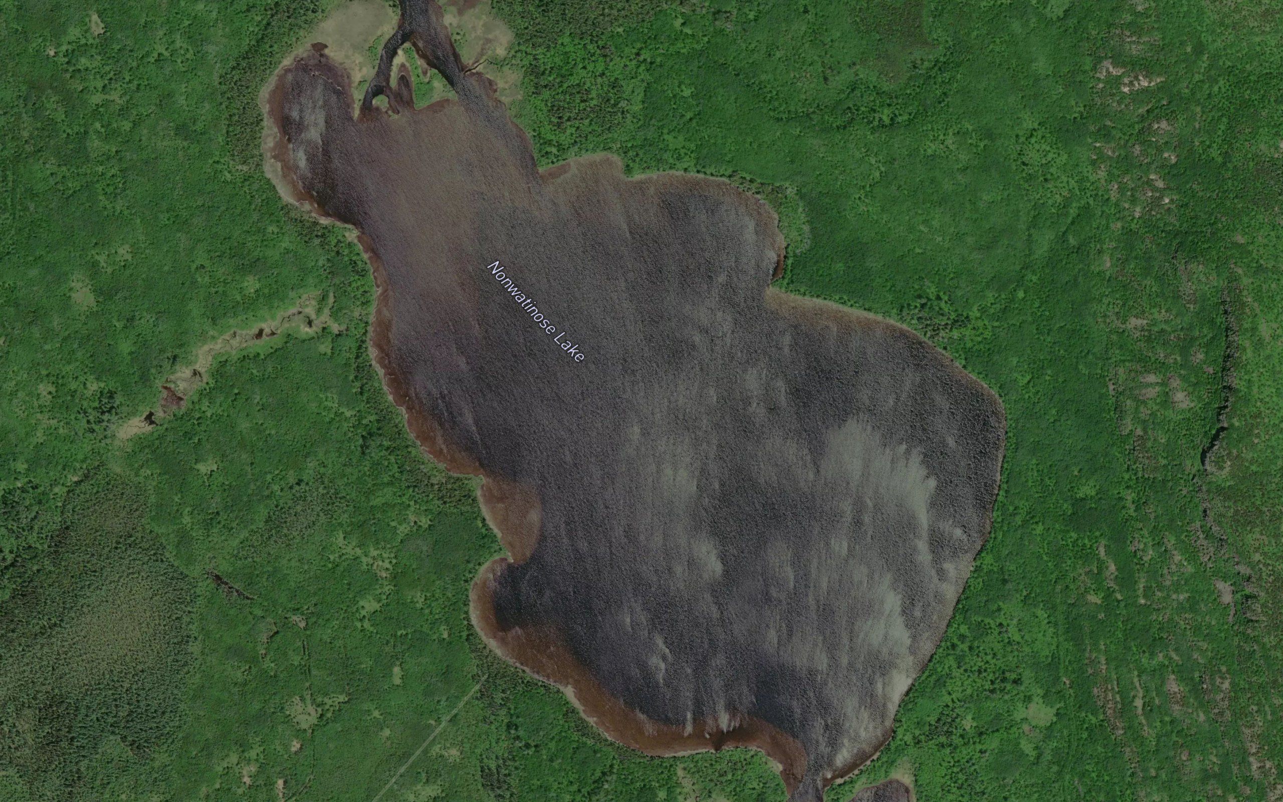 Nonwatinose Lake
