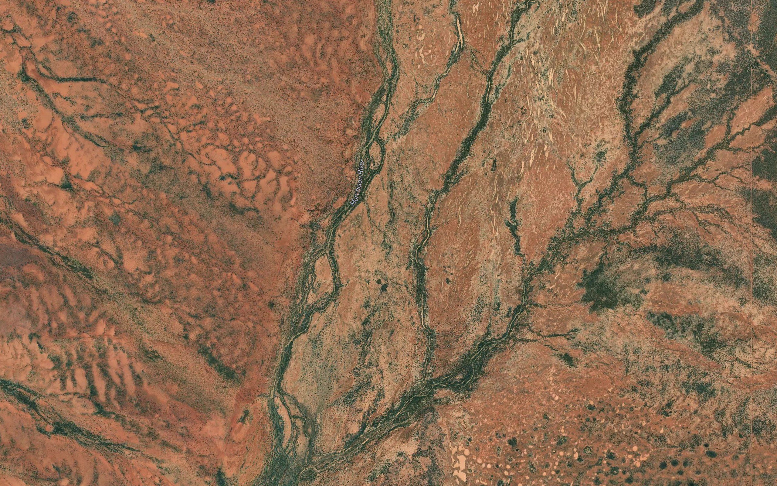 Bubbaweerie Spring
