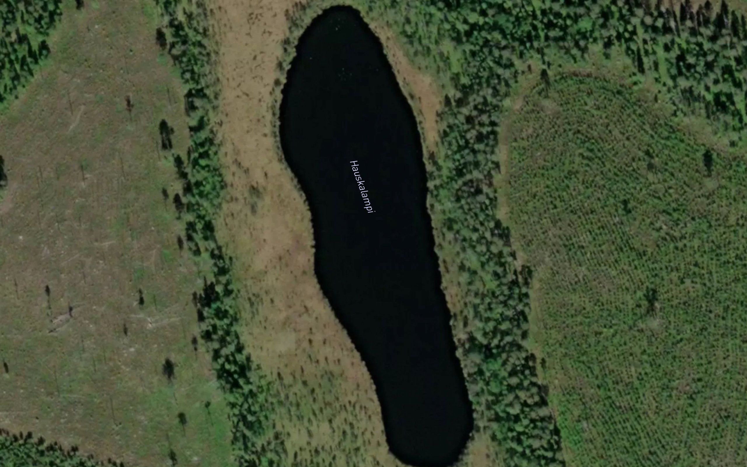 Hauskalampi