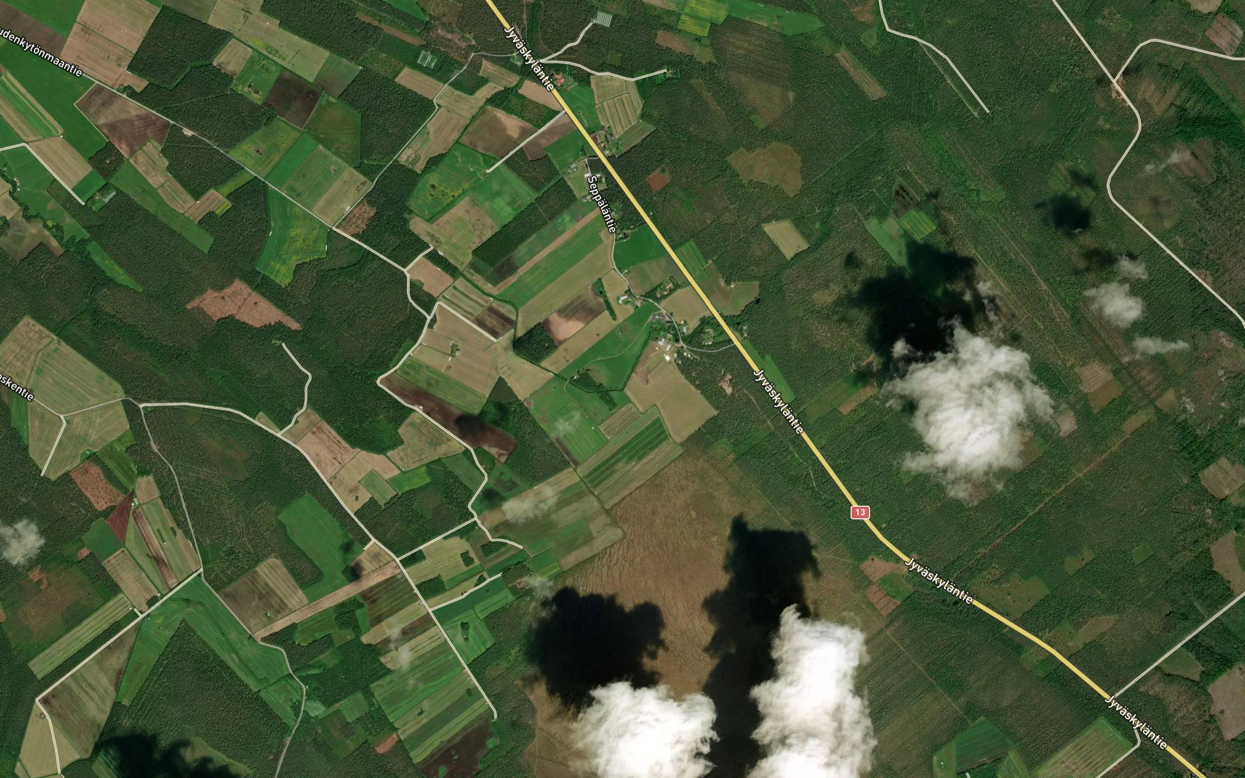 Jauholamminoja