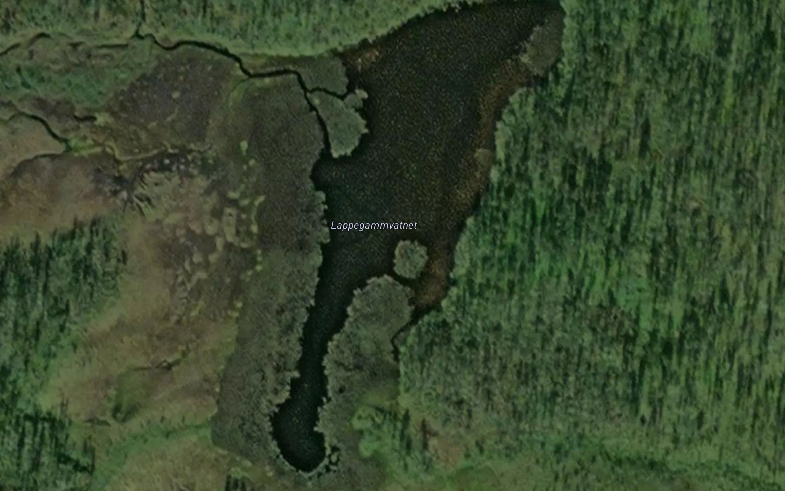 Lappegammvatnet