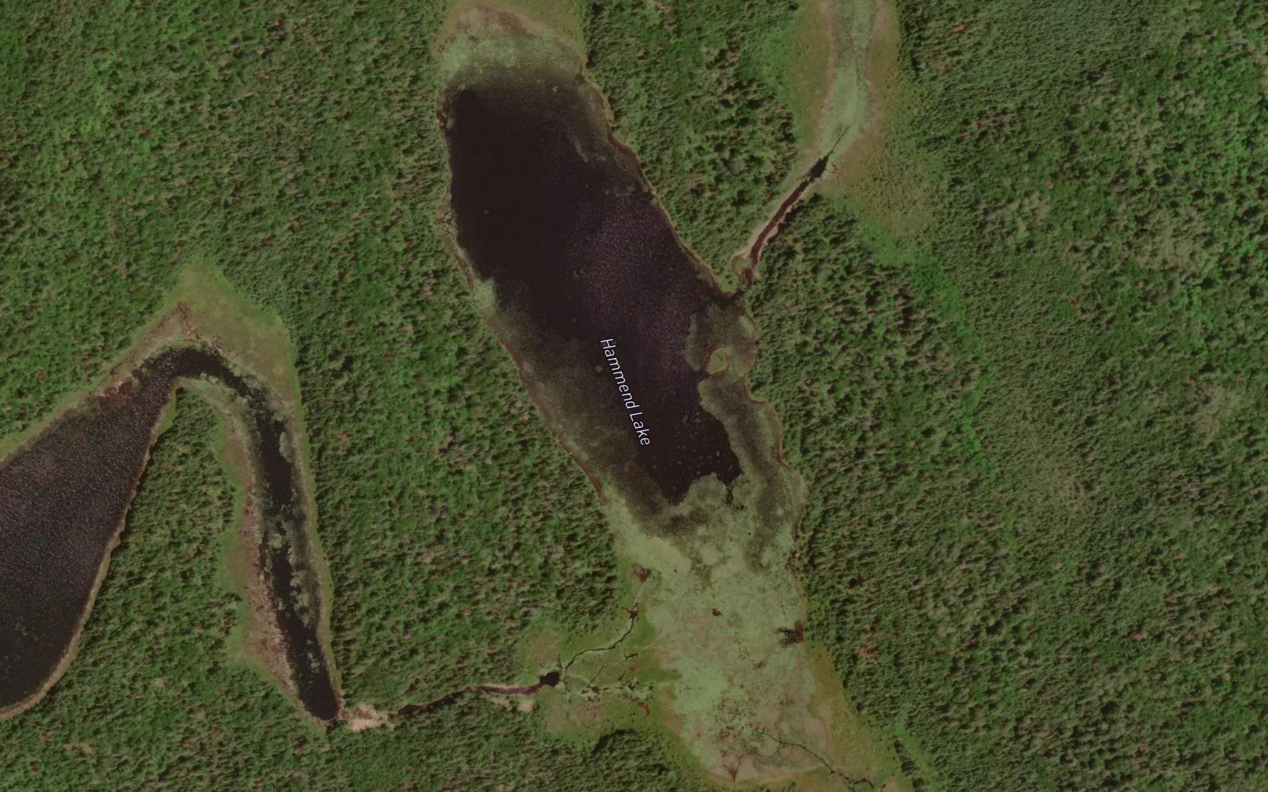 Hammend Lake