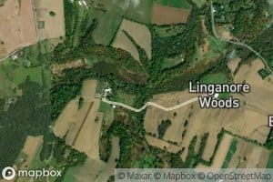 South Fork Linganore Creek