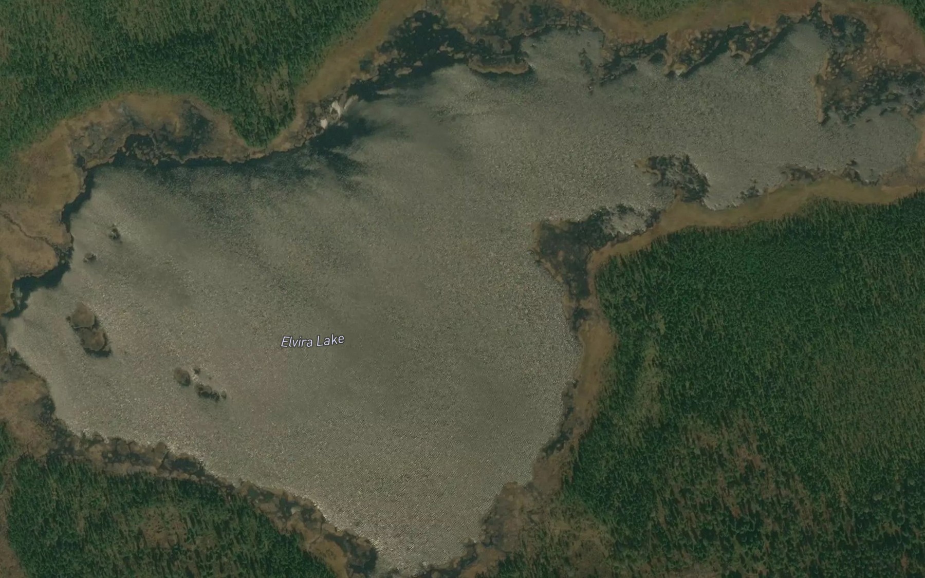 Satellite map of the Elvira Lake
