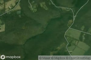 Trout Brook