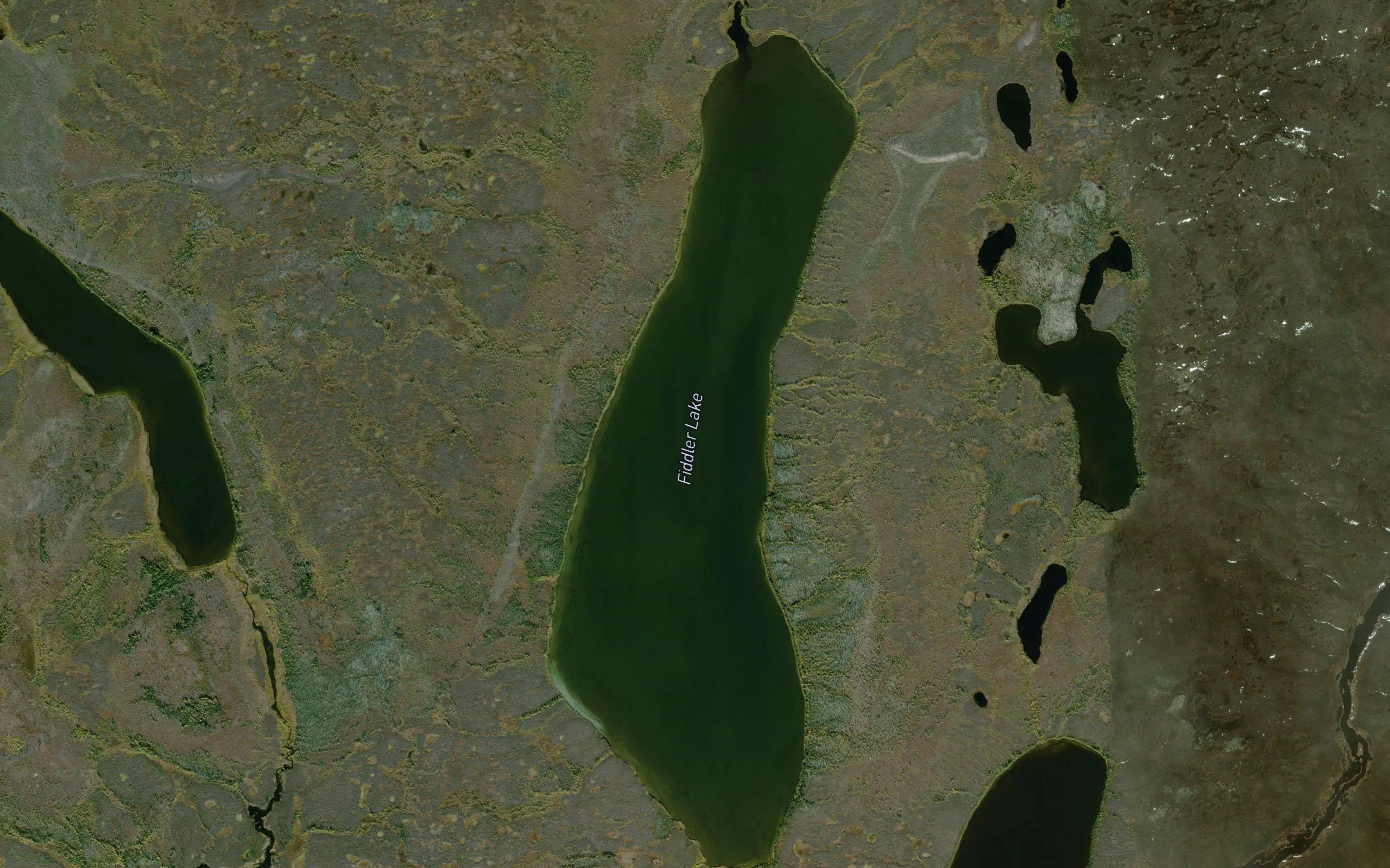 Fiddler Lake