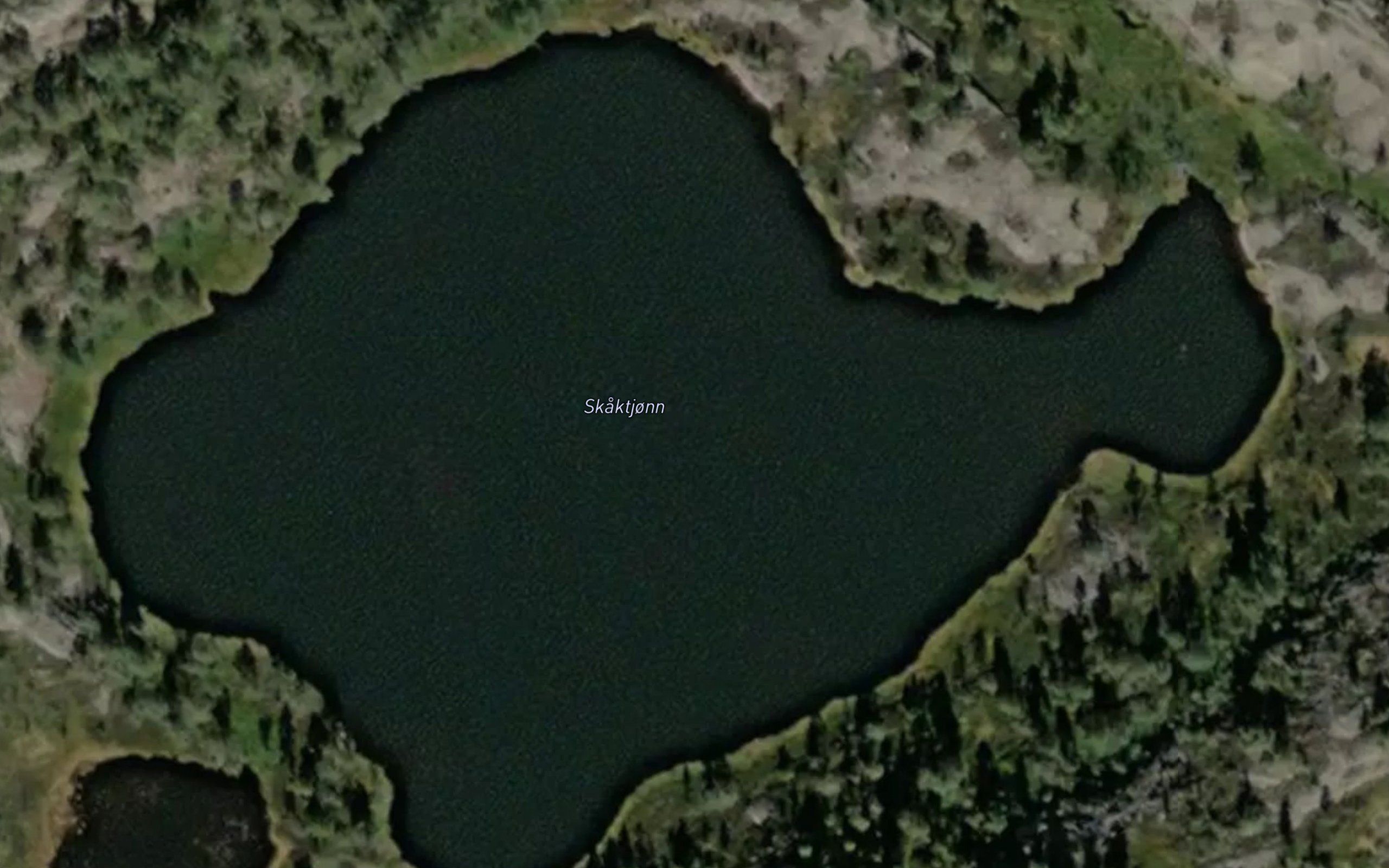 Skaktjorna