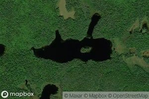 Whitebark Lake