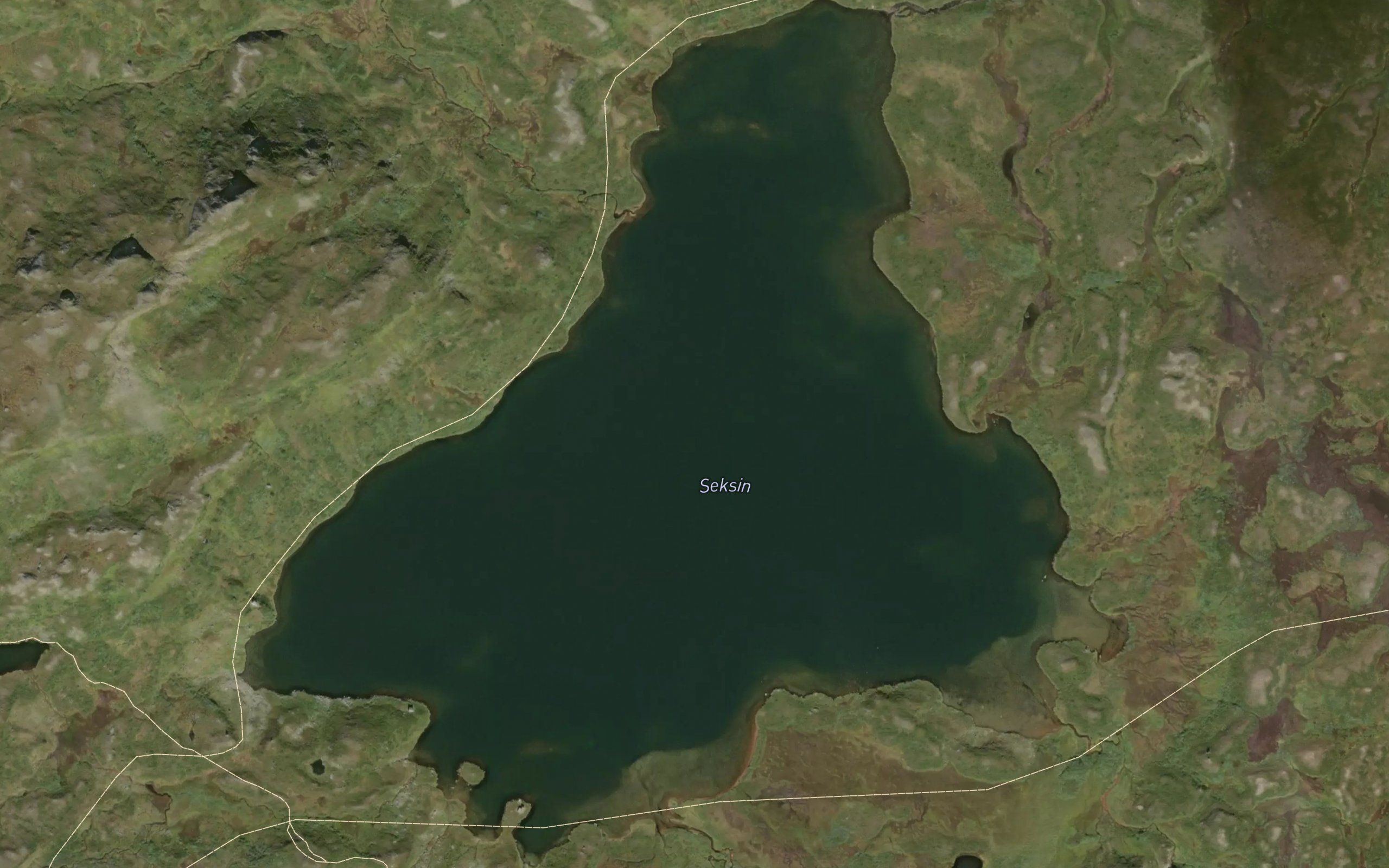 Seksin