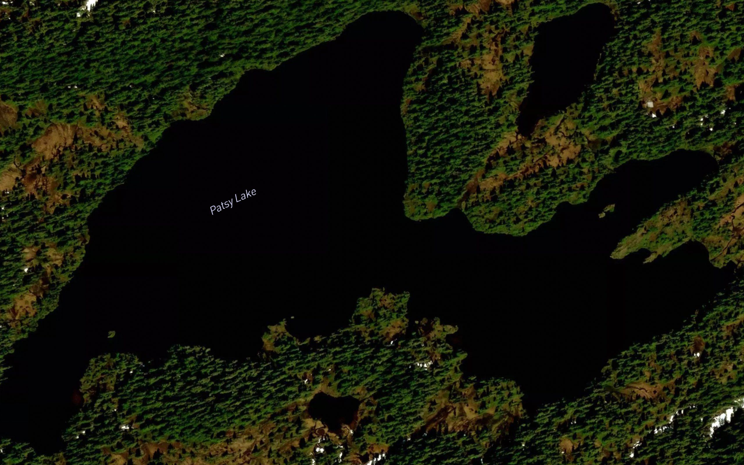 Patsy Lake