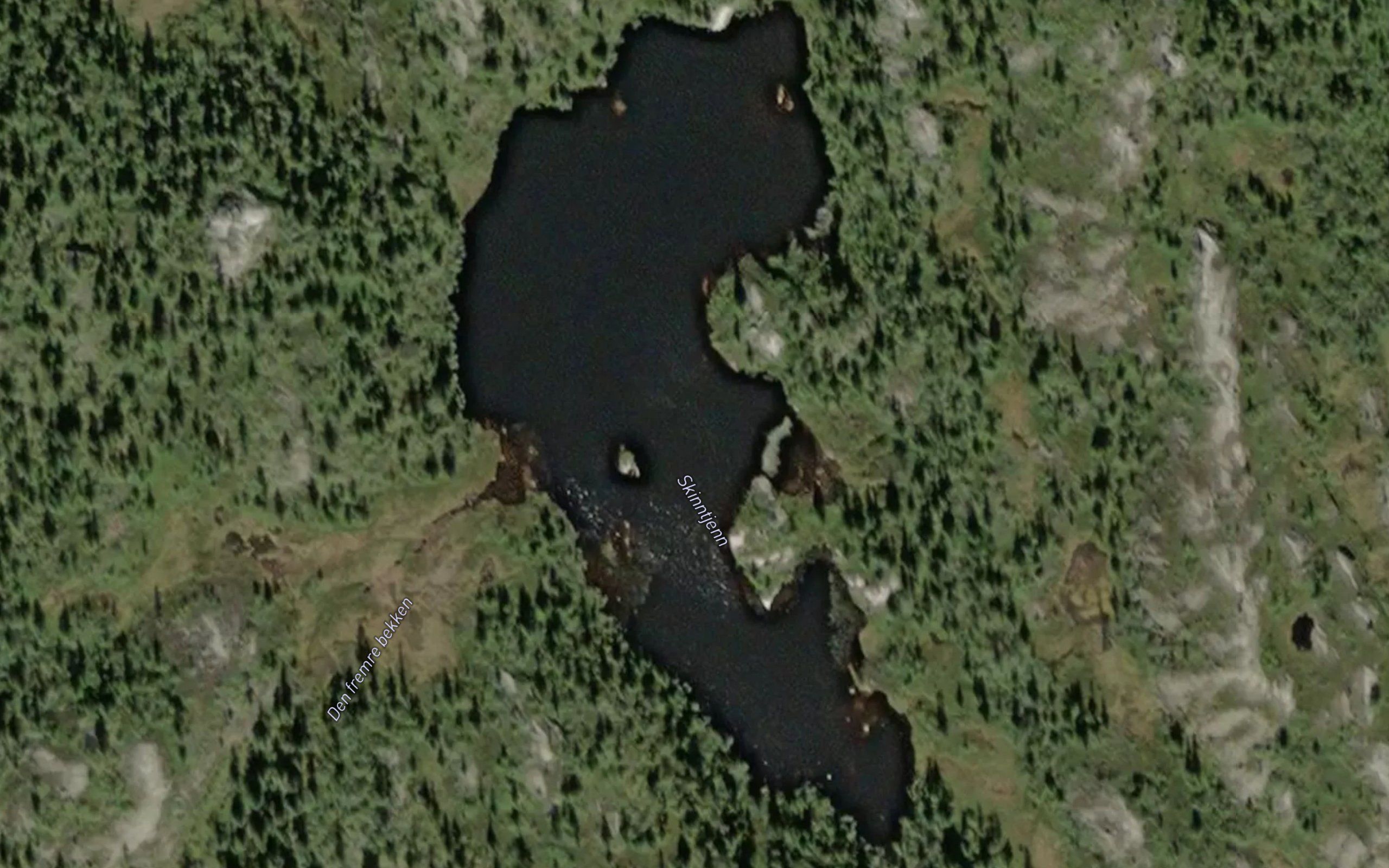 Skinntjernet