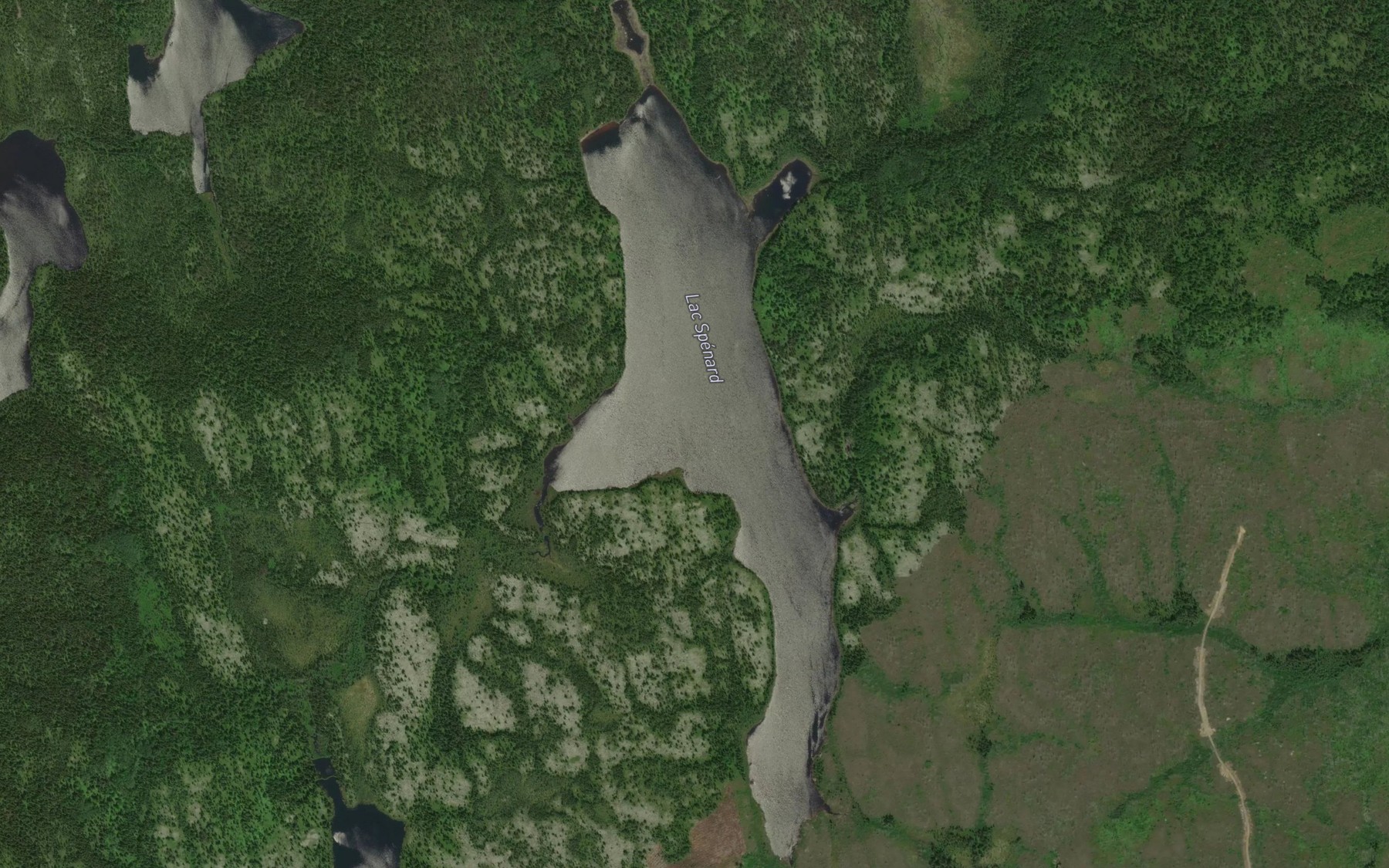Satellite map of the Lac Spenard