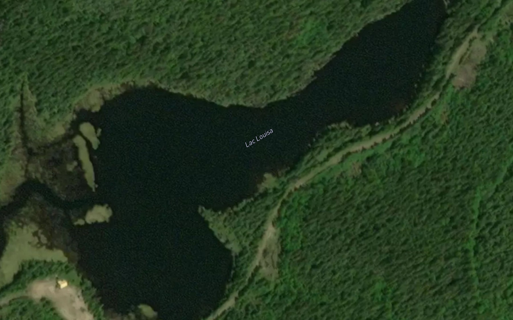 Satellite map of the Lac Louisa