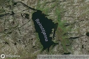 Reinstitjorna