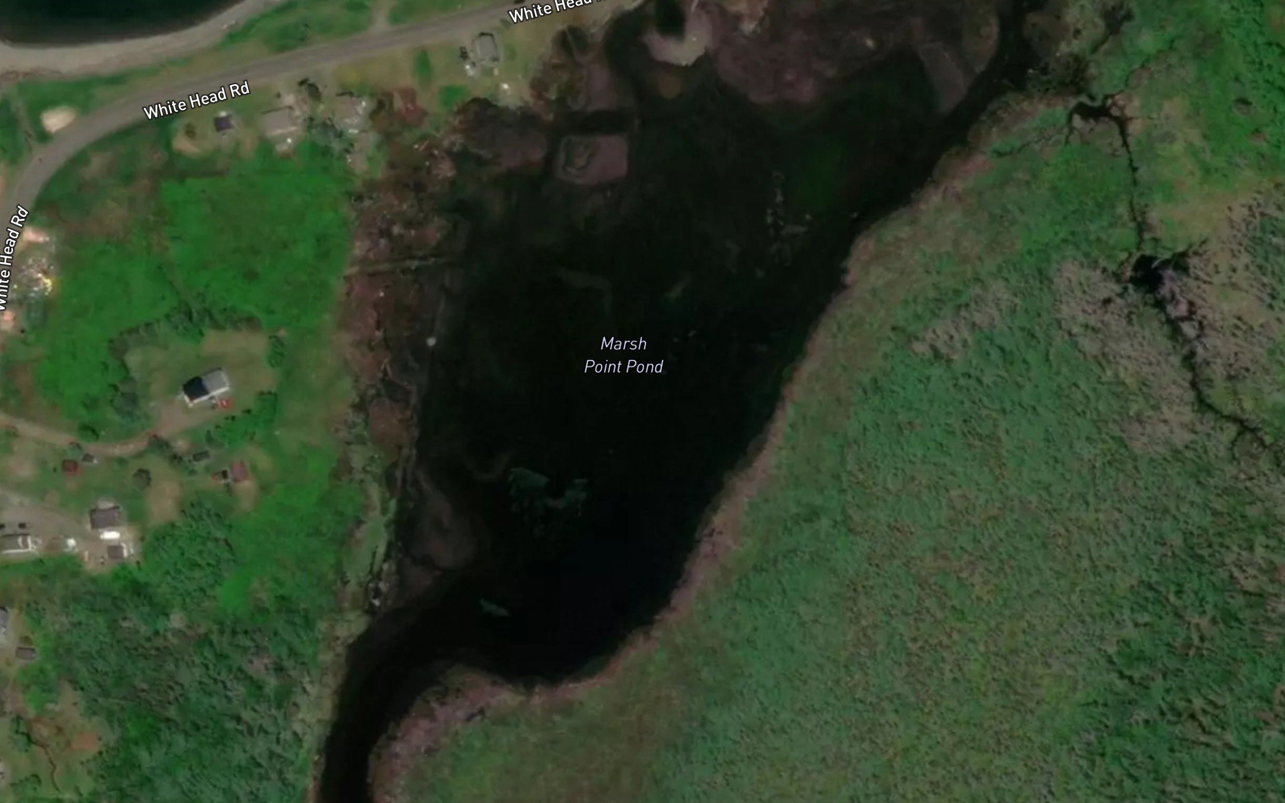 Marsh Point Pond