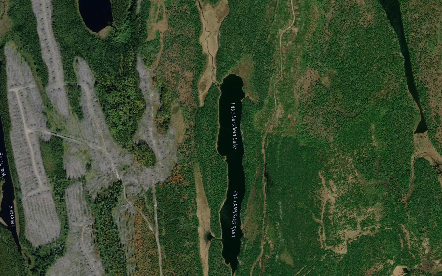 Satellite map of the Little Sarsfield Lake