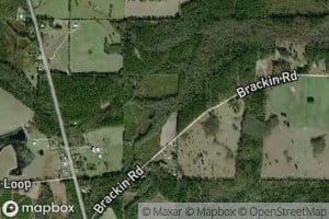 Pine Log Creek