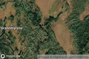 Stordulpen