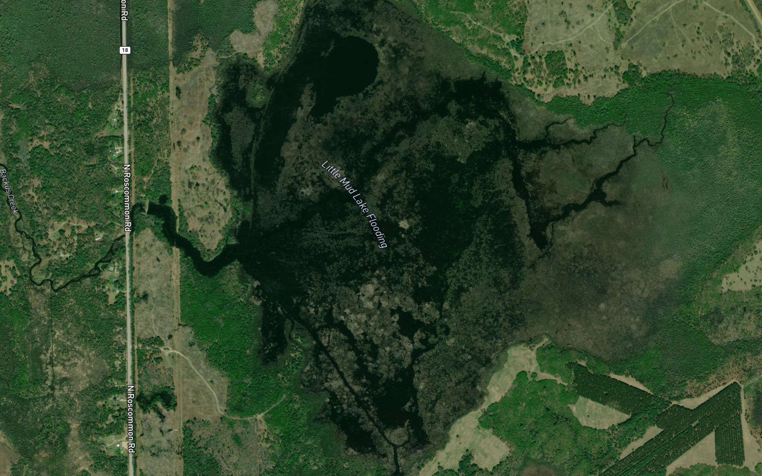 Little Mud Lake Flooding