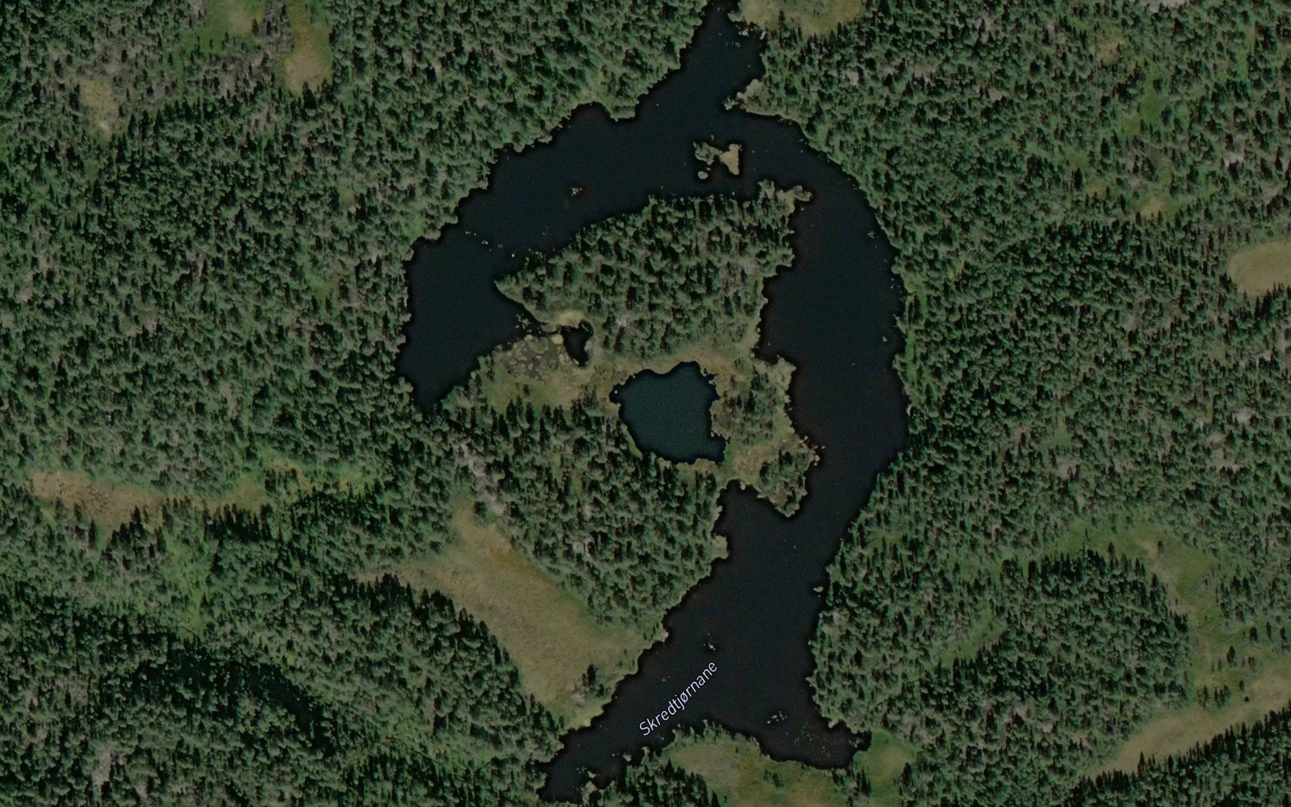 Skredtjornane