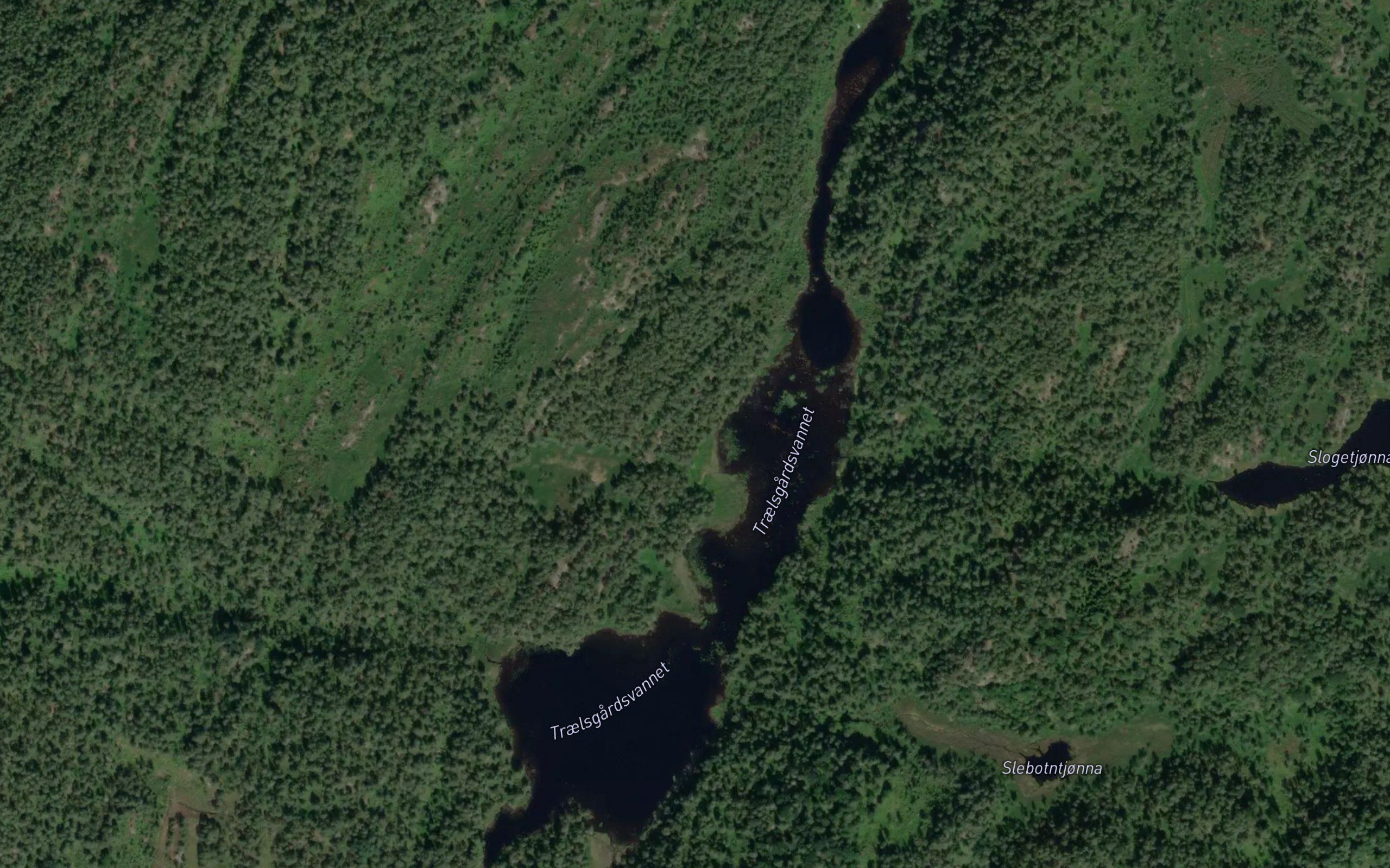 Traelsgardsvannet