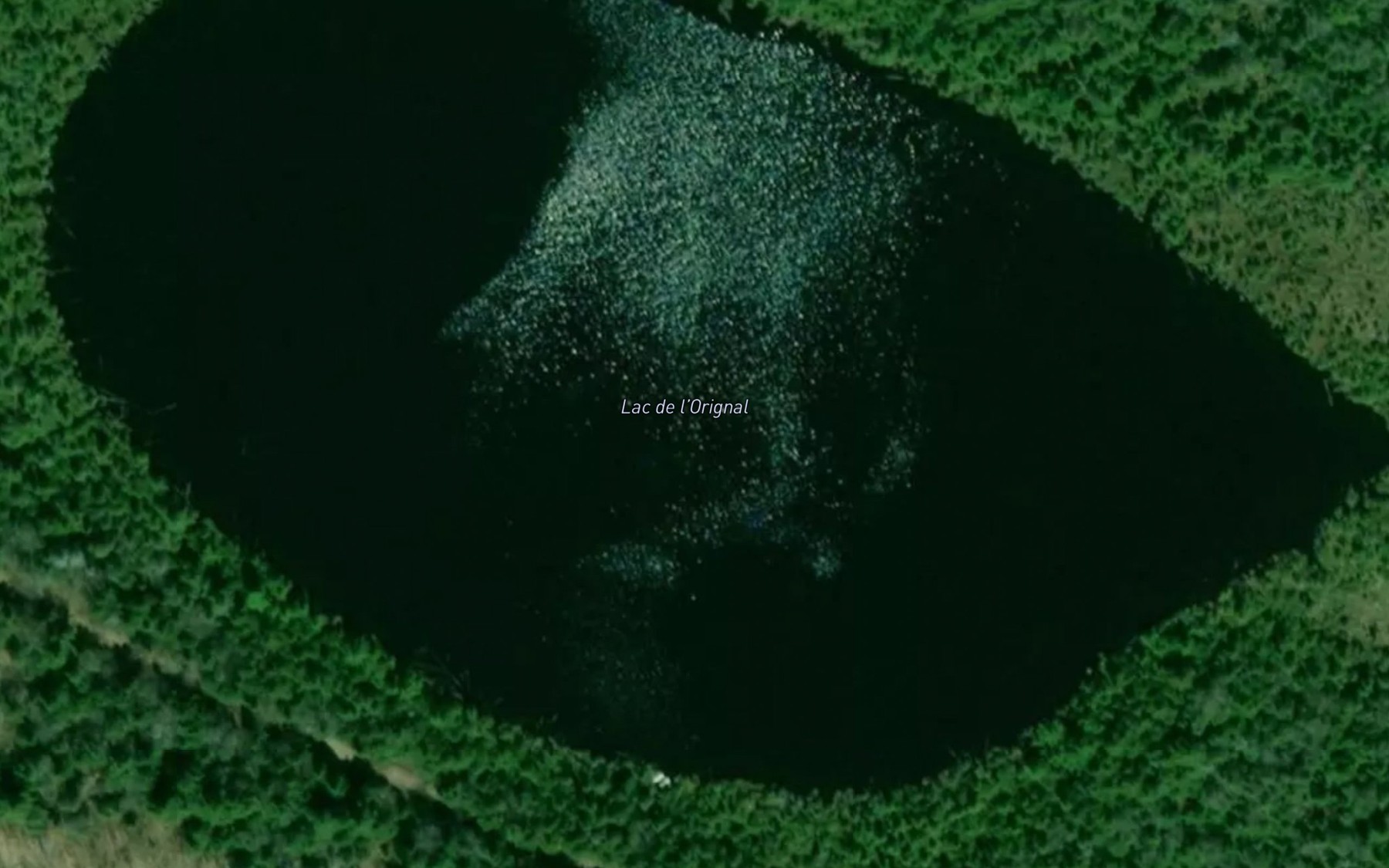 Satellite map of the Lac de l'Orignal