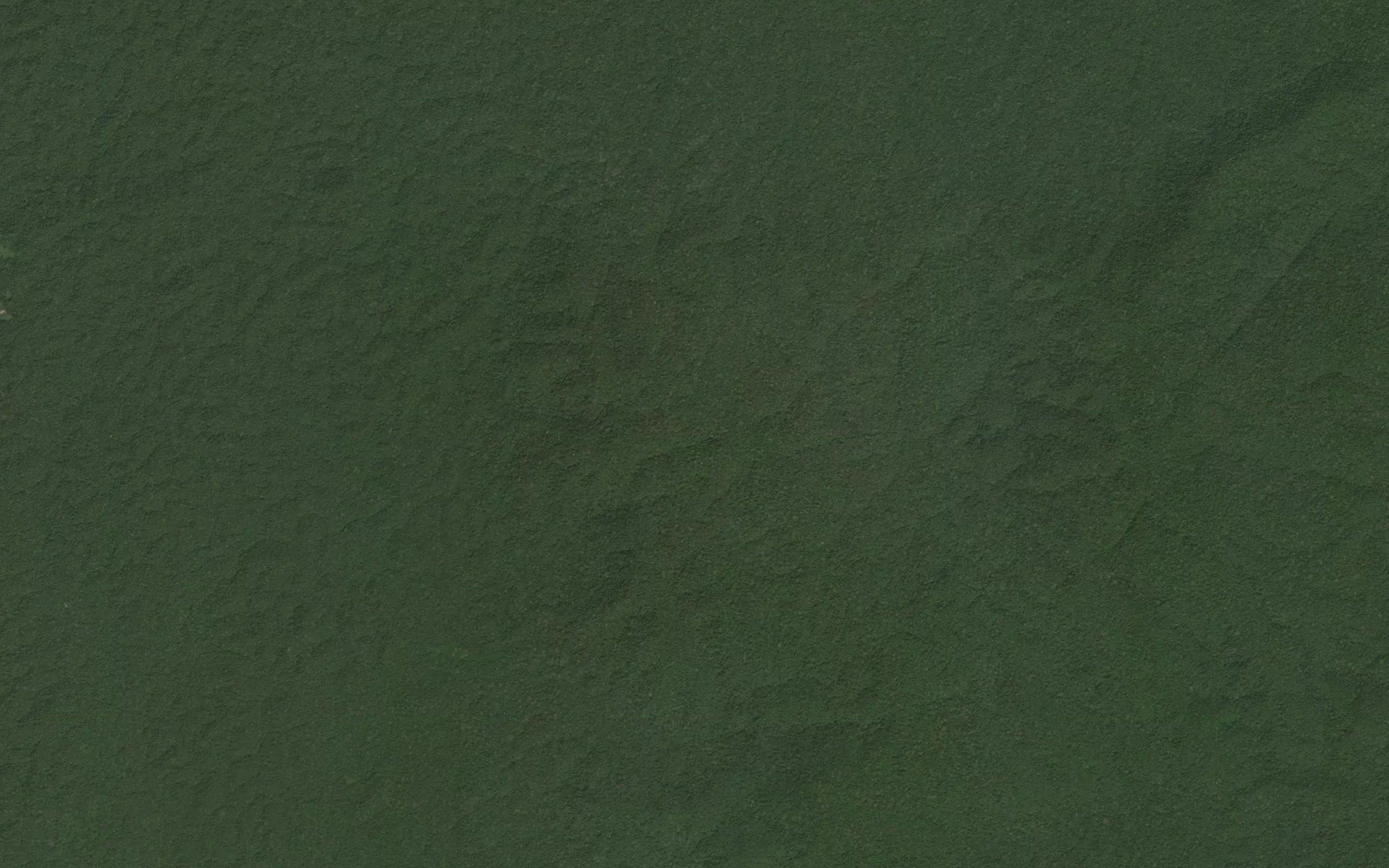 Ifoli
