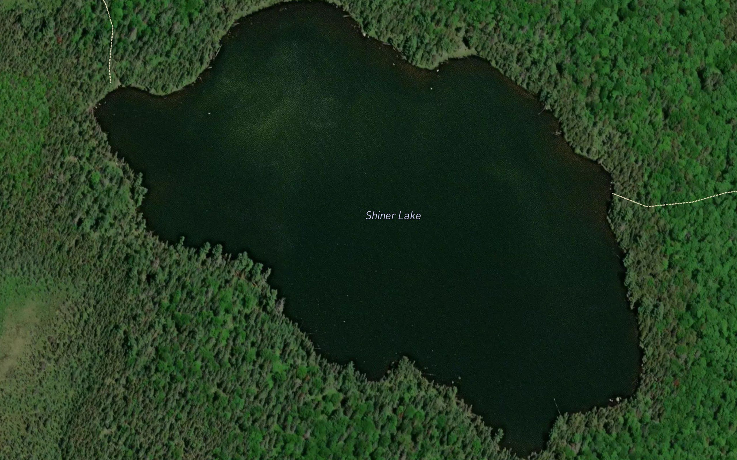 Shiner Lake