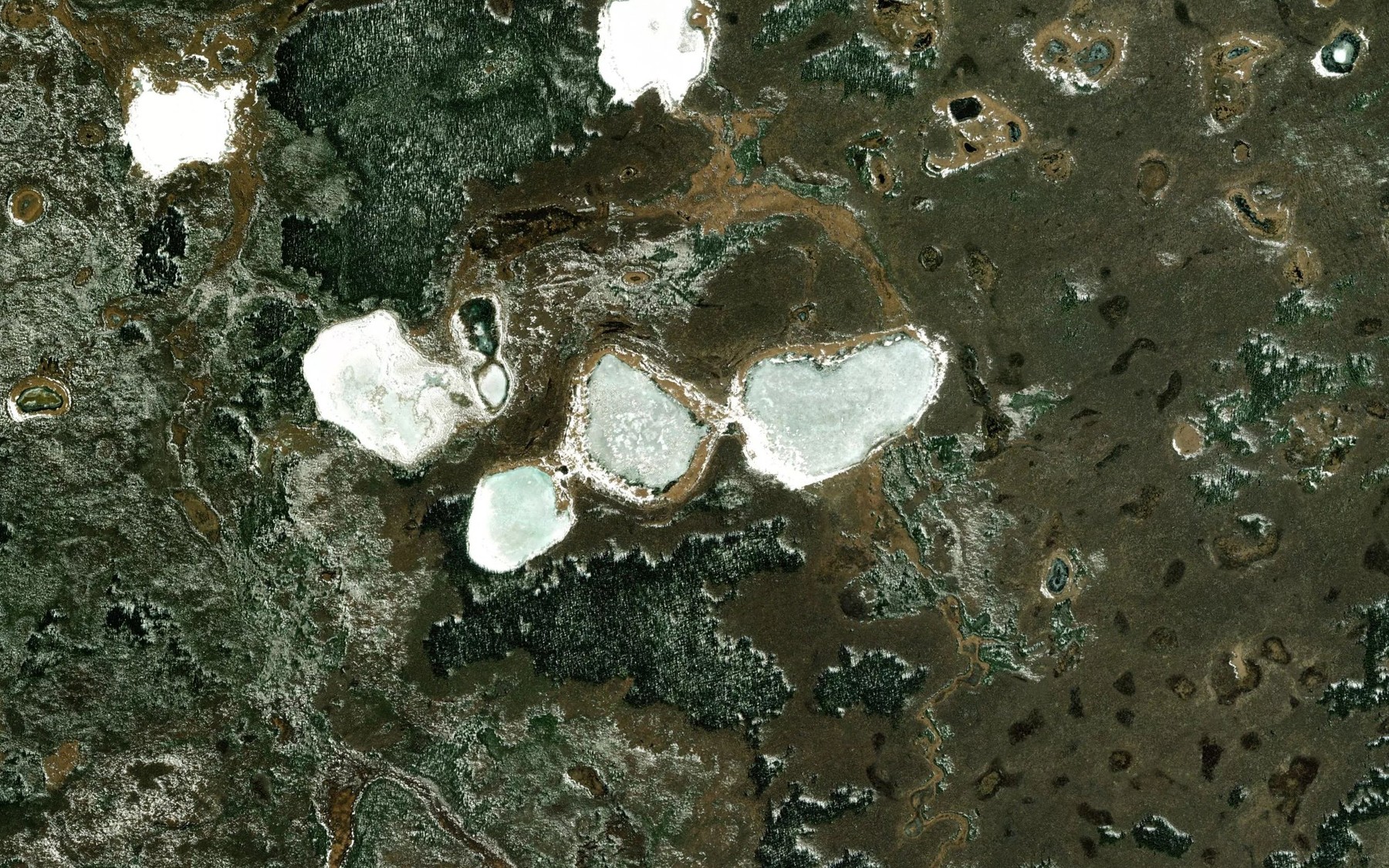 Satellite map of the Rat Lake