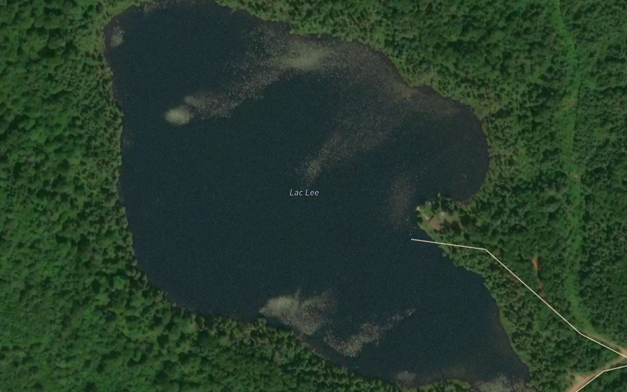 Lac Lee