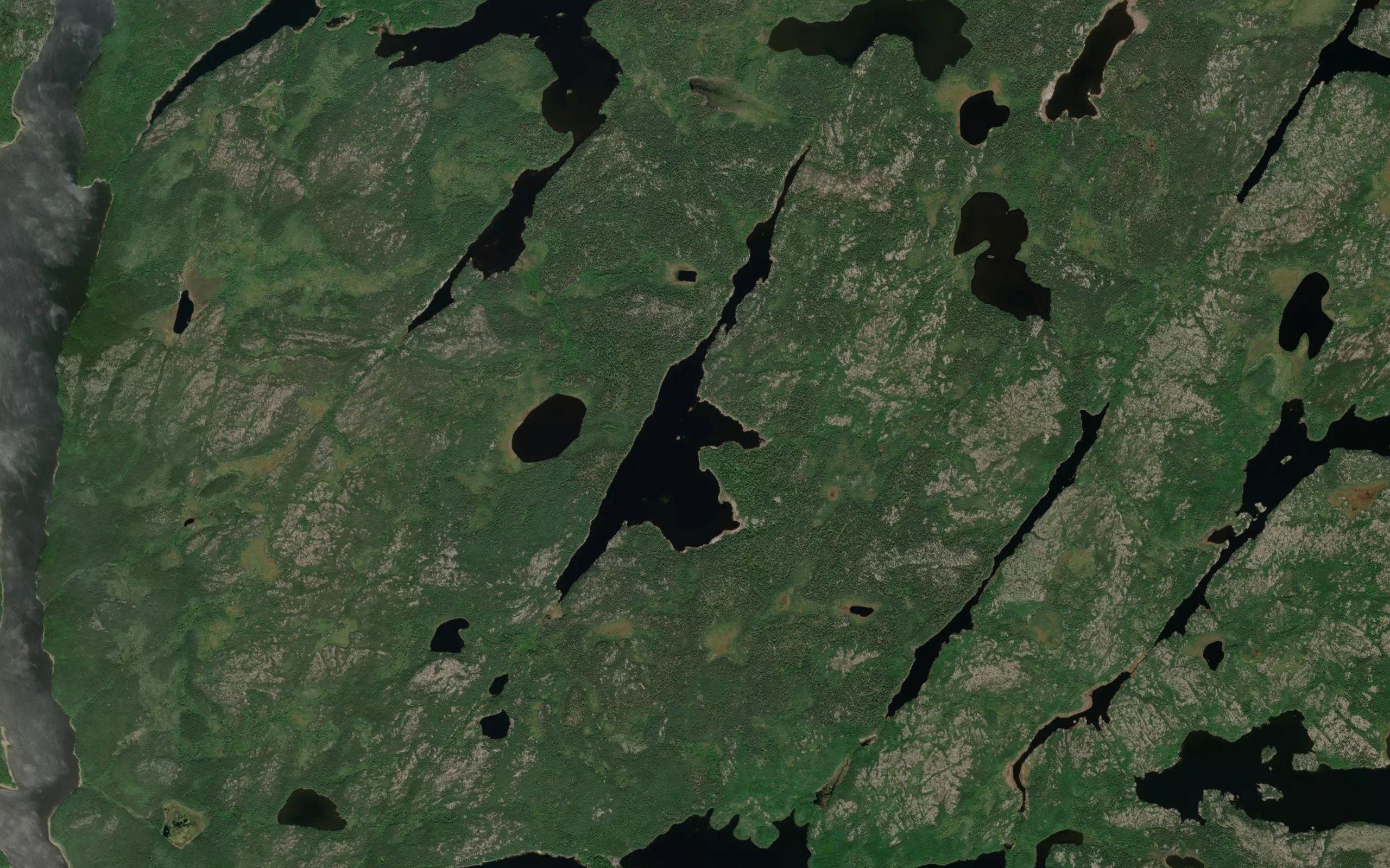Westland Lake