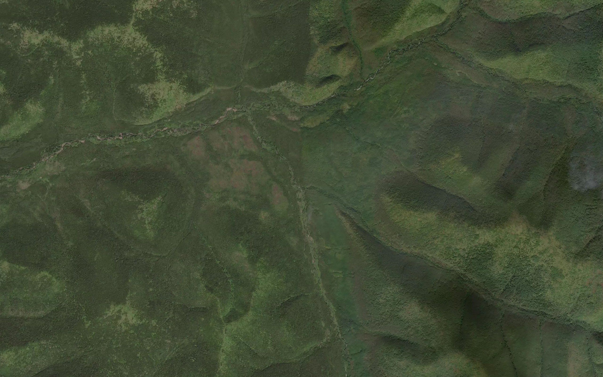Puyani