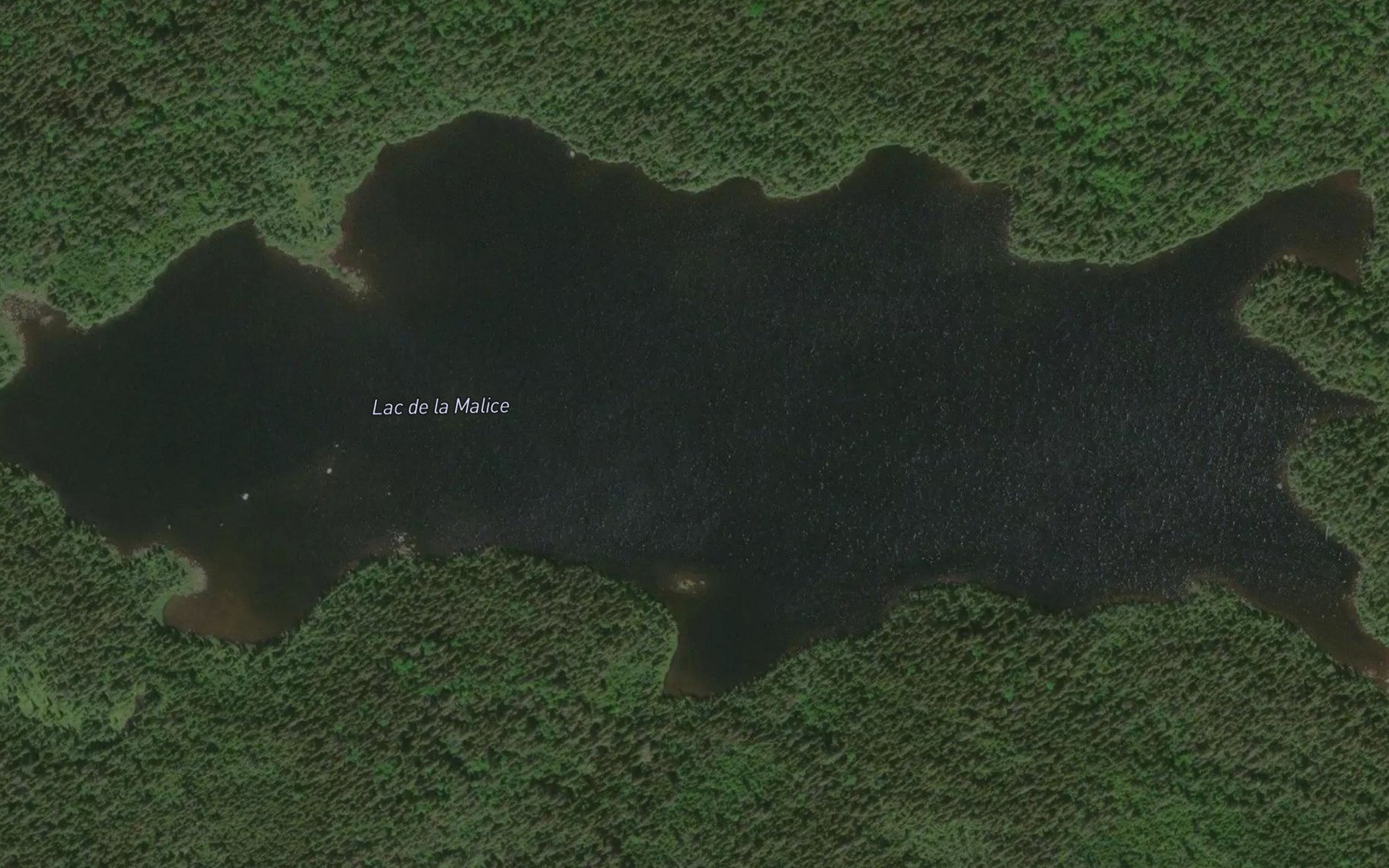 Satellite map of the Lac de la Malice