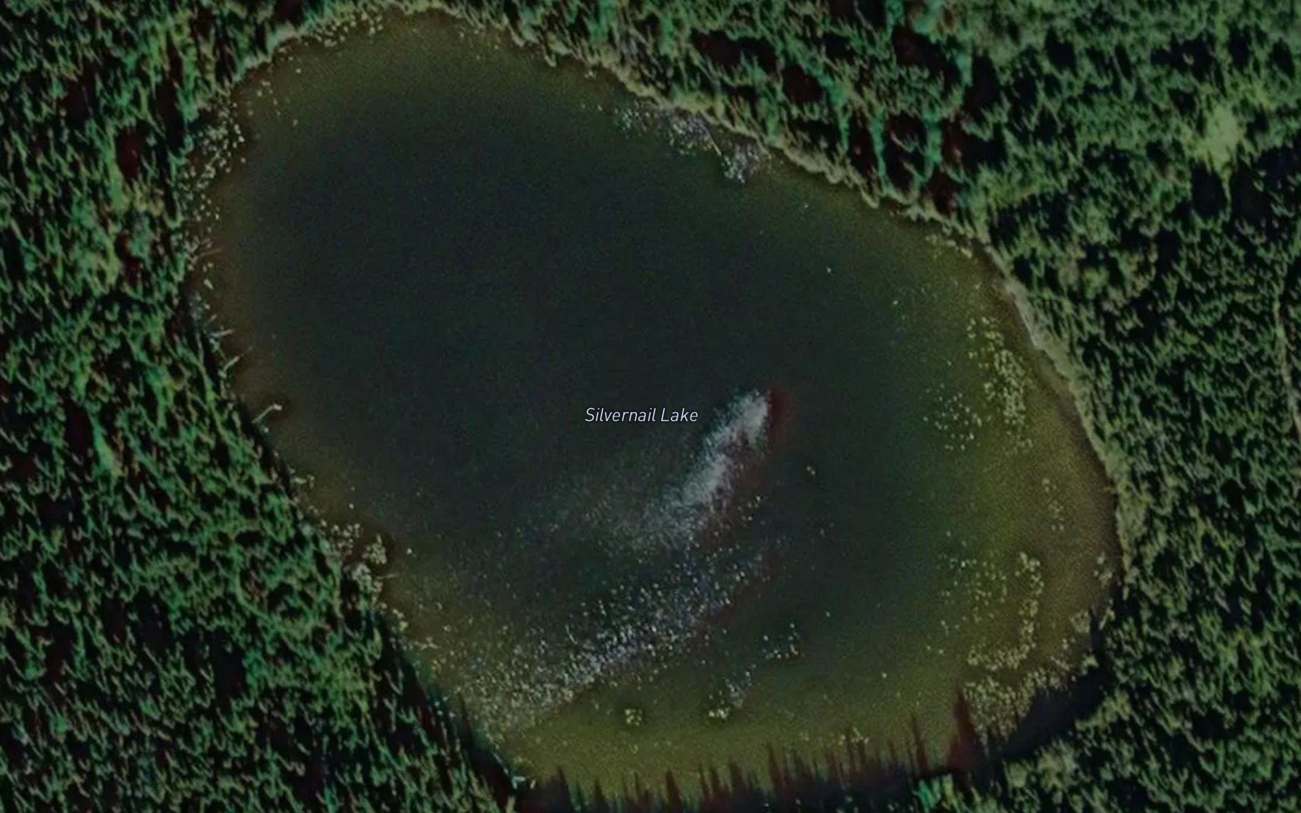 Silvernail Lake