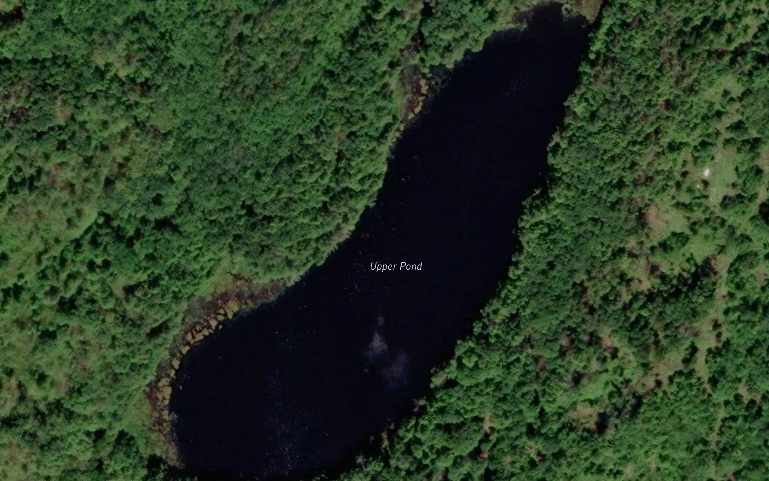 Upper Pond