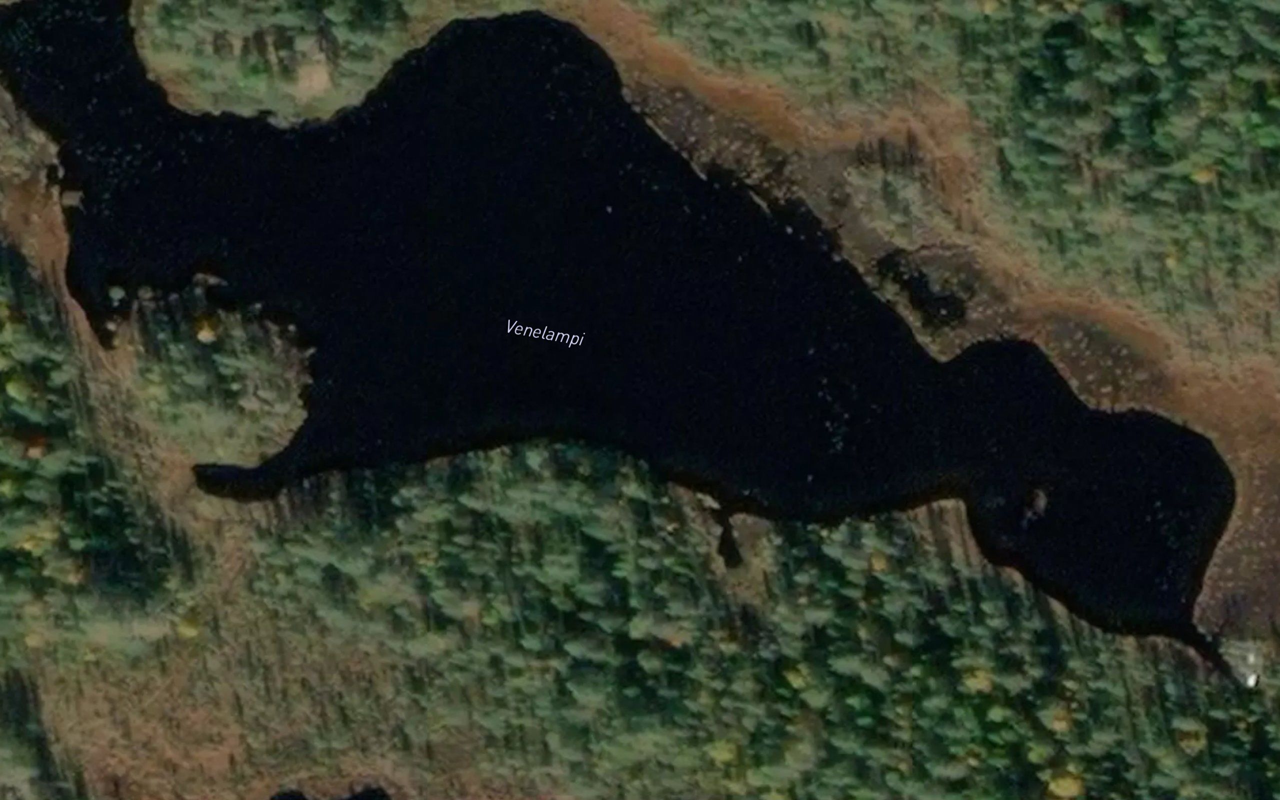 Venelampi
